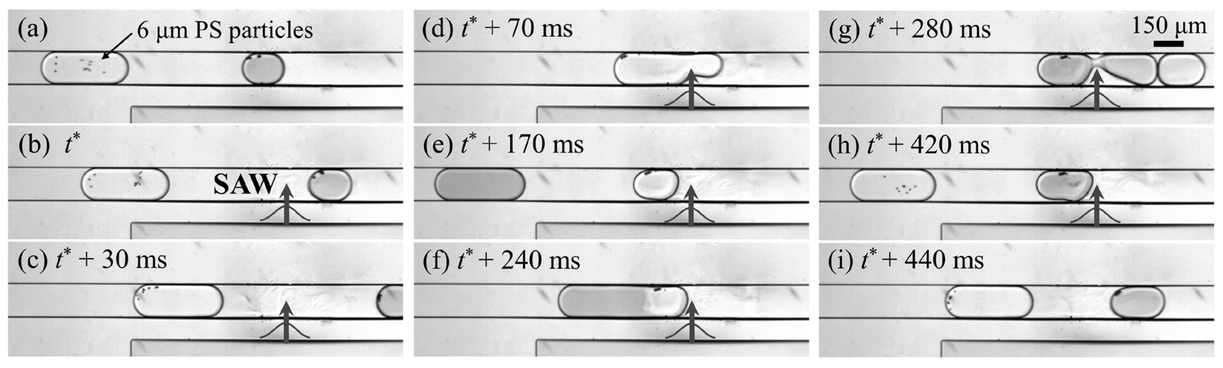 Micromachines 15 00699 g017 Micromachines 15 00699 g017