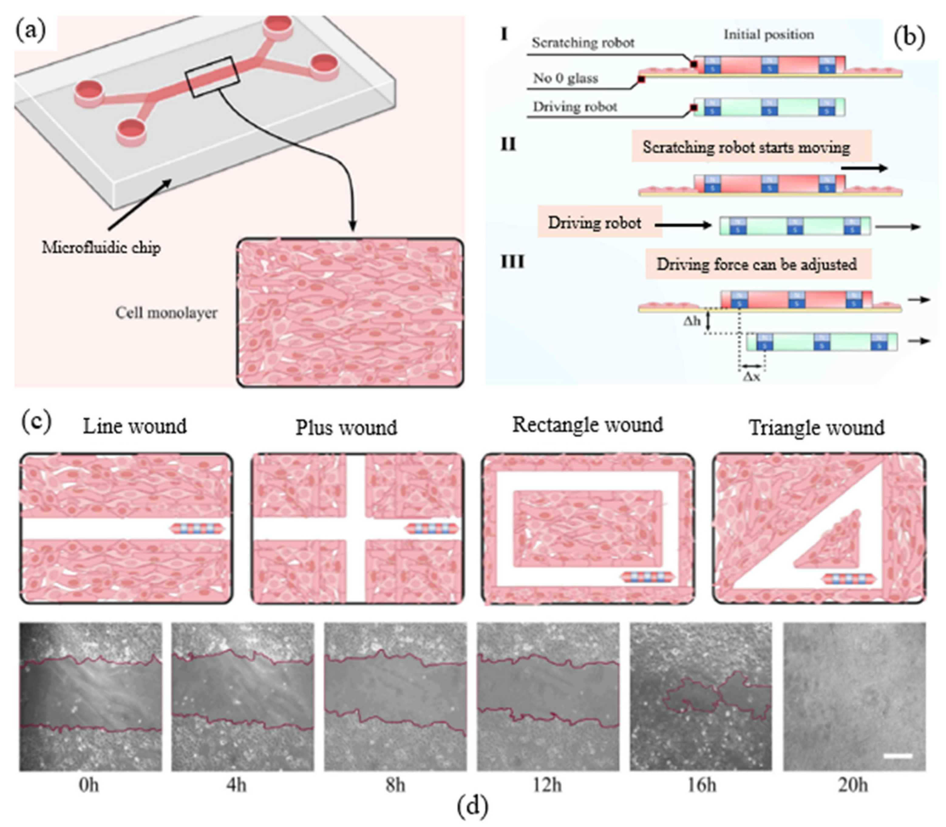 Micromachines 15 00720 g002