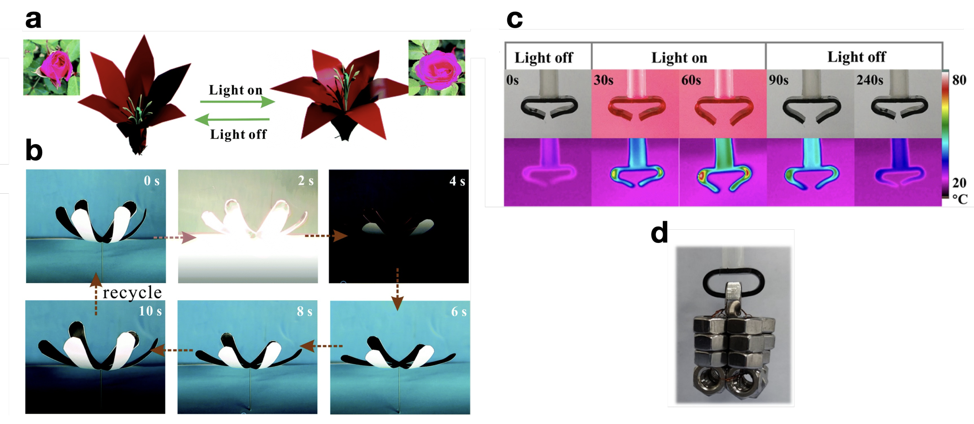 Micromachines 15 00748 g008