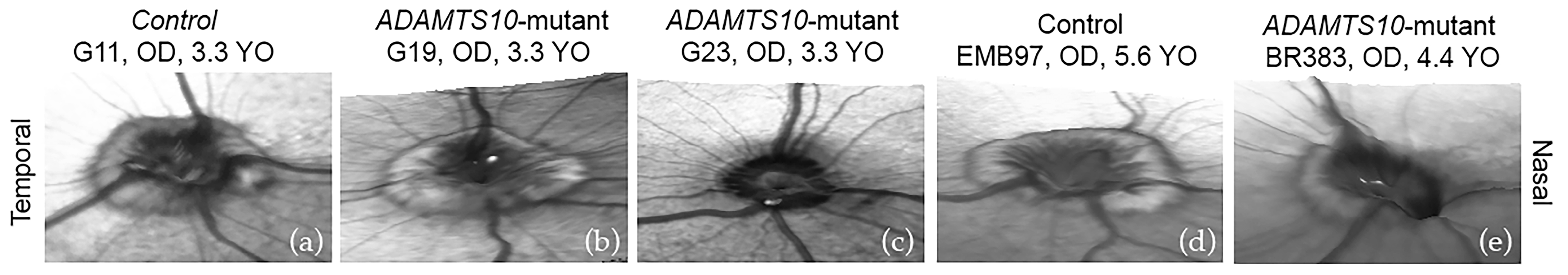 Micromachines 15 00780 g006