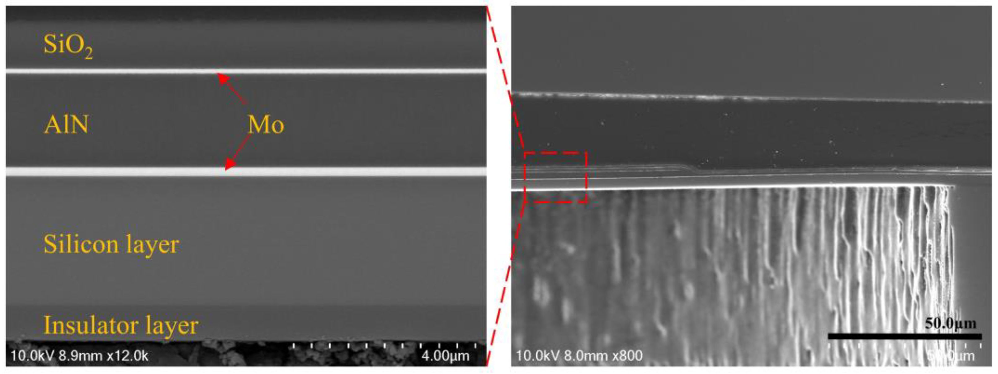 Micromachines 15 00781 g006