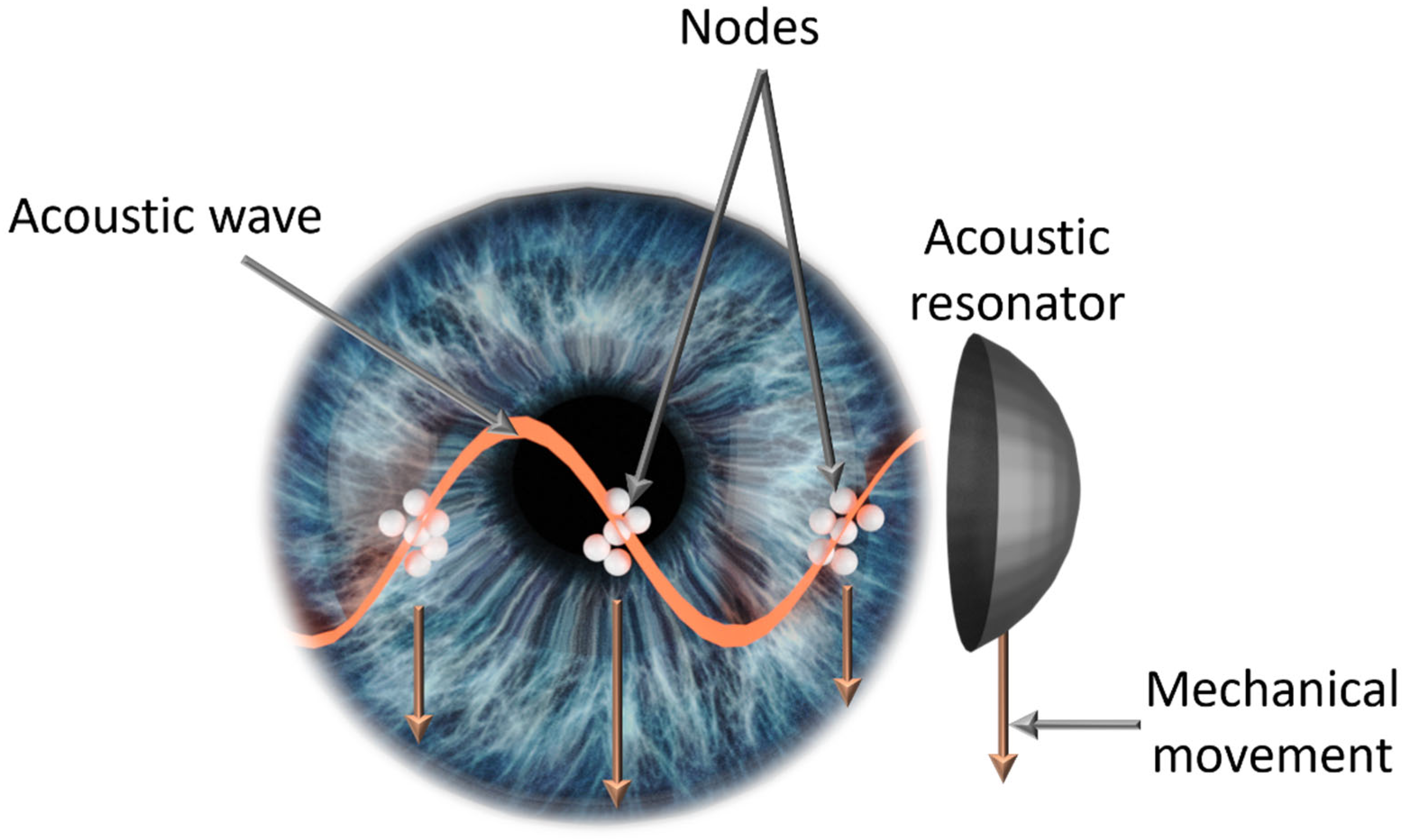 Micromachines 15 00786 g001