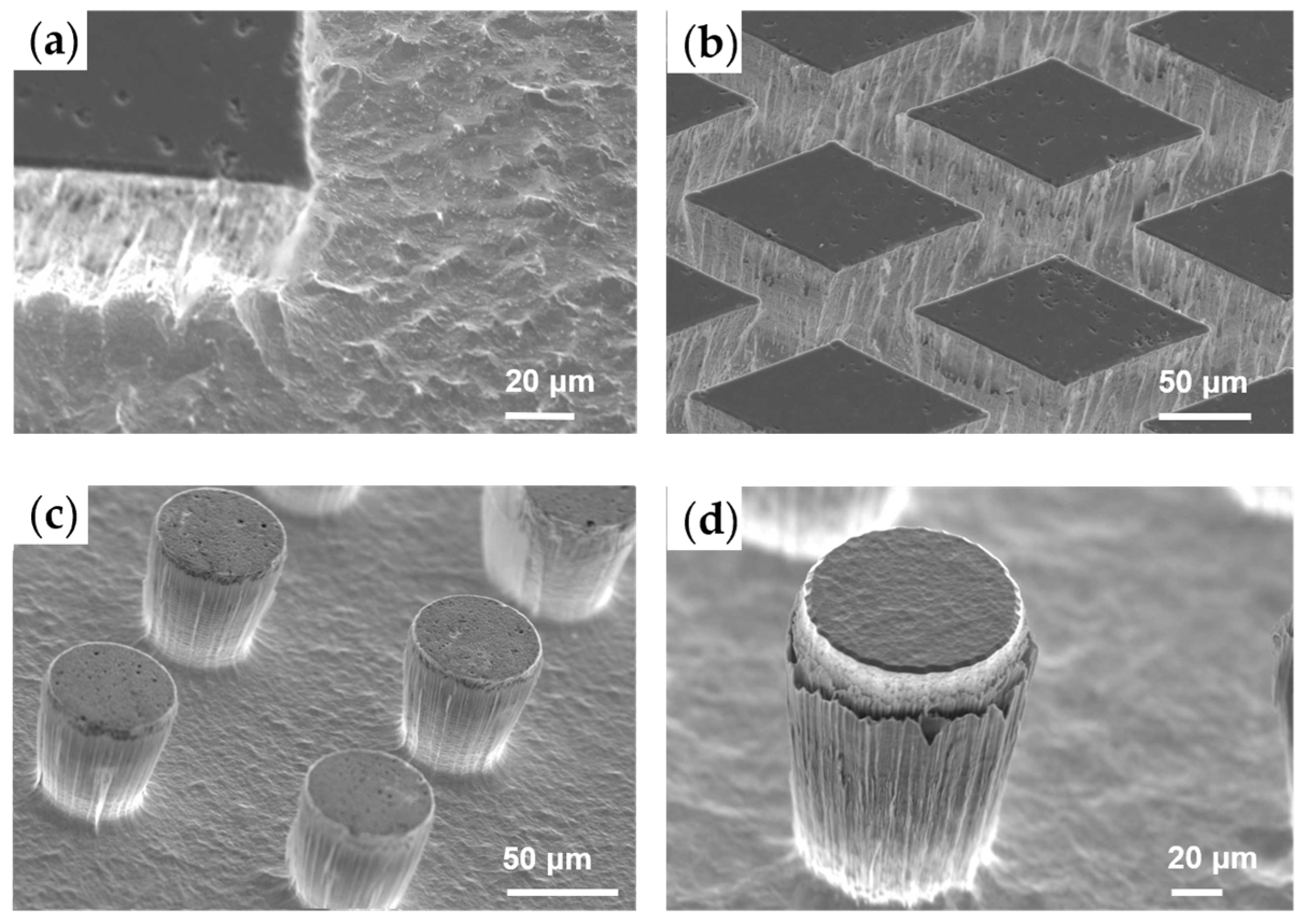 Micromachines 15 00807 g004