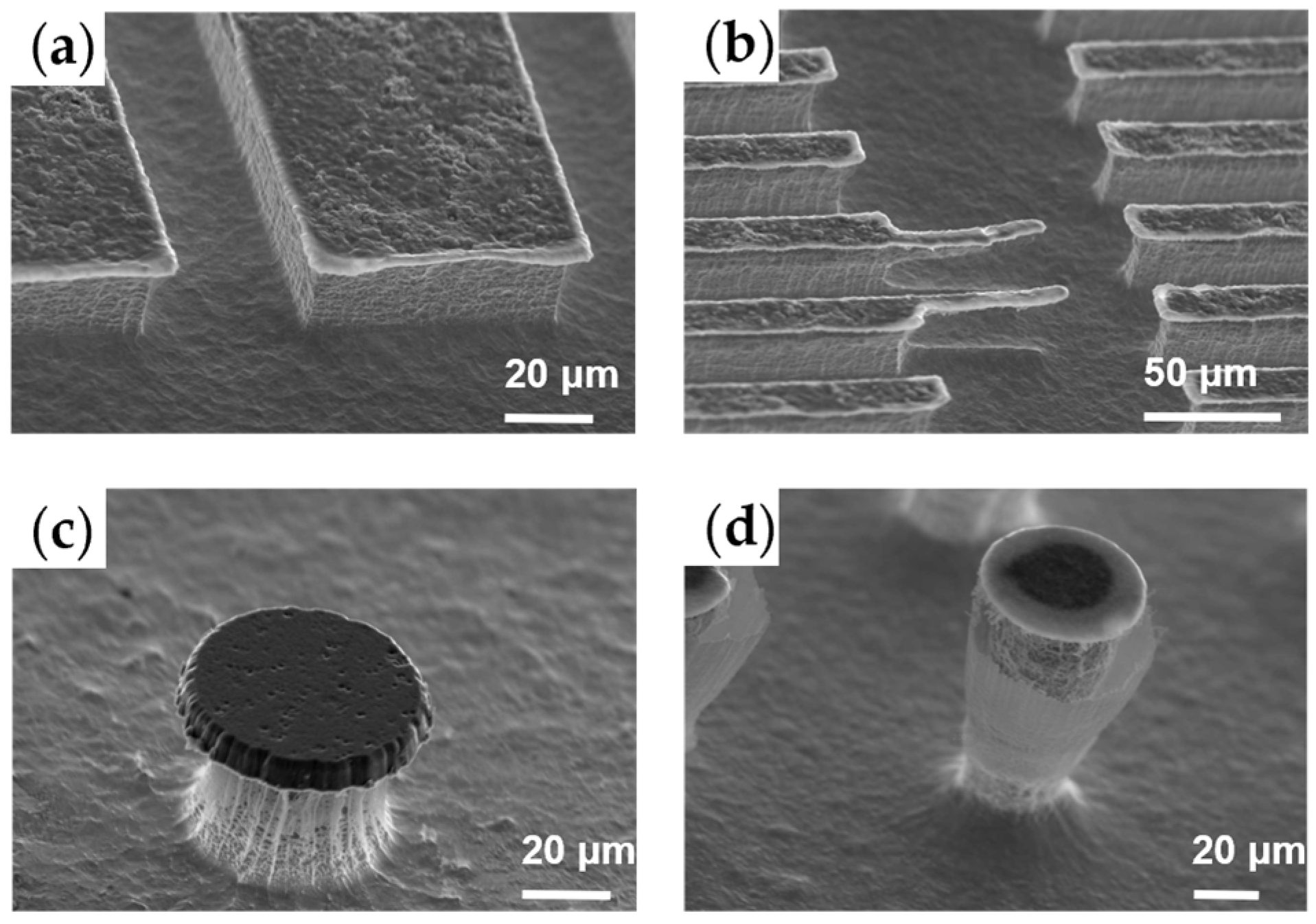 Micromachines 15 00807 g006