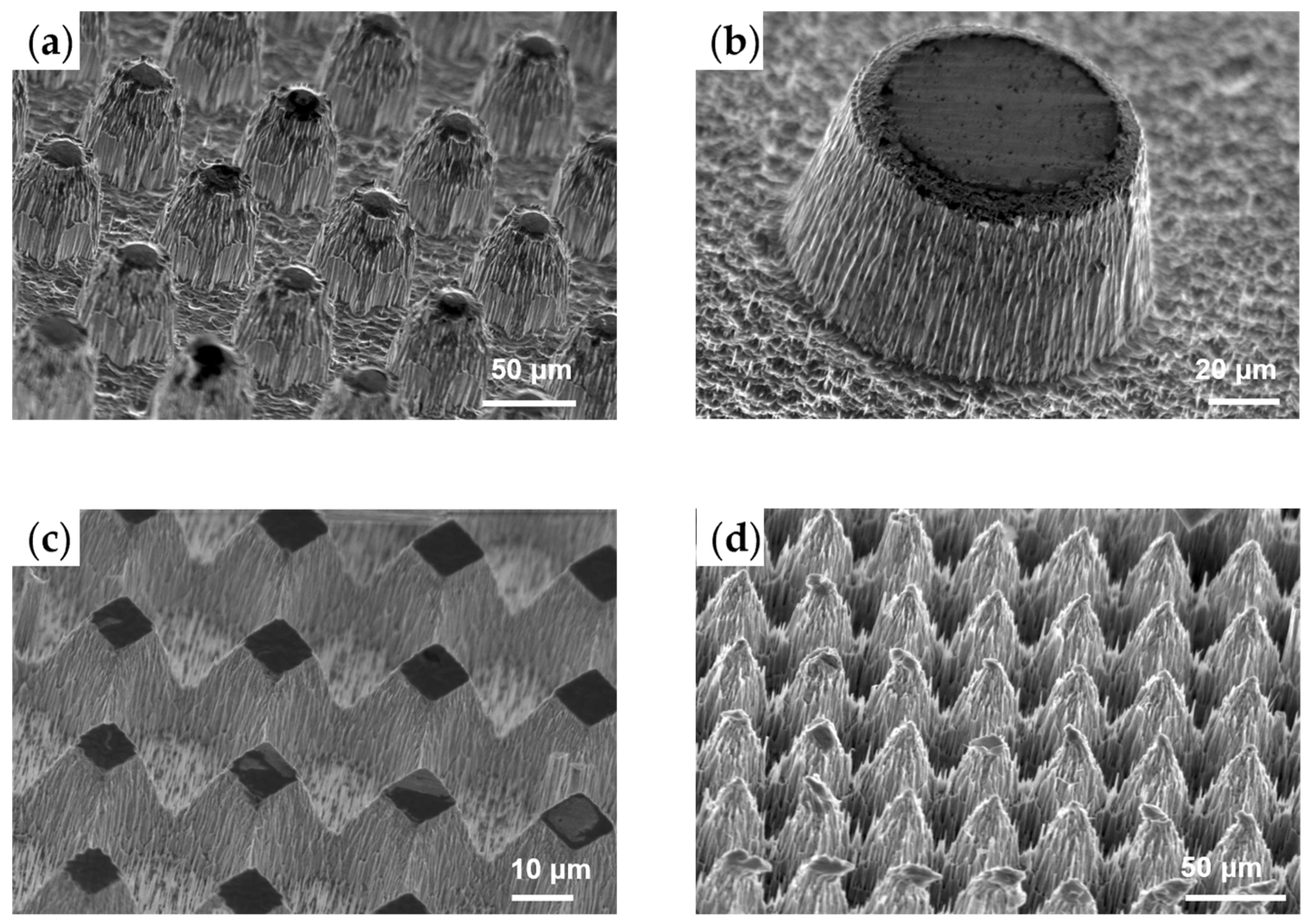 Micromachines 15 00807 g008