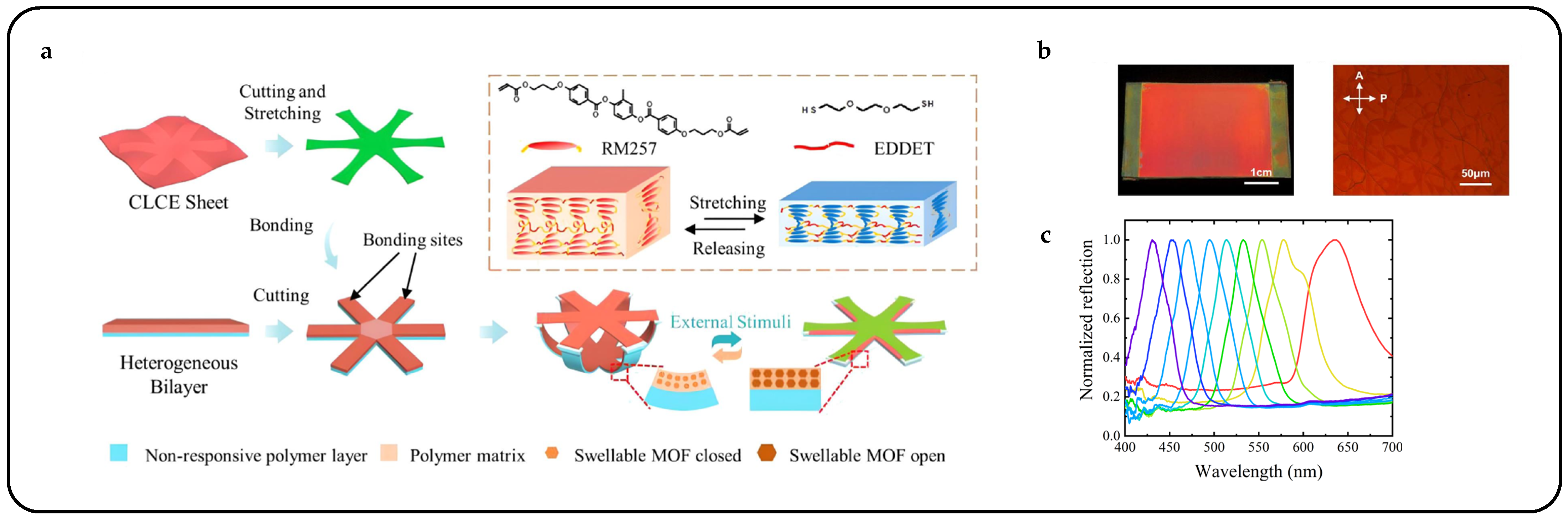 Micromachines 15 00808 g007