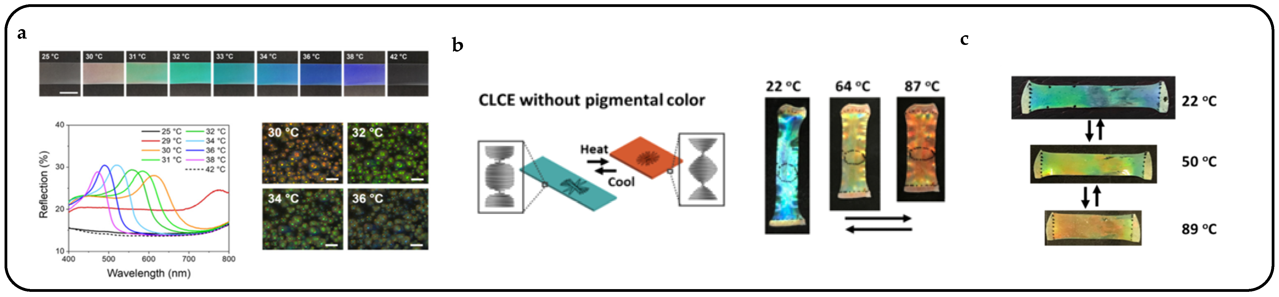 Micromachines 15 00808 g012