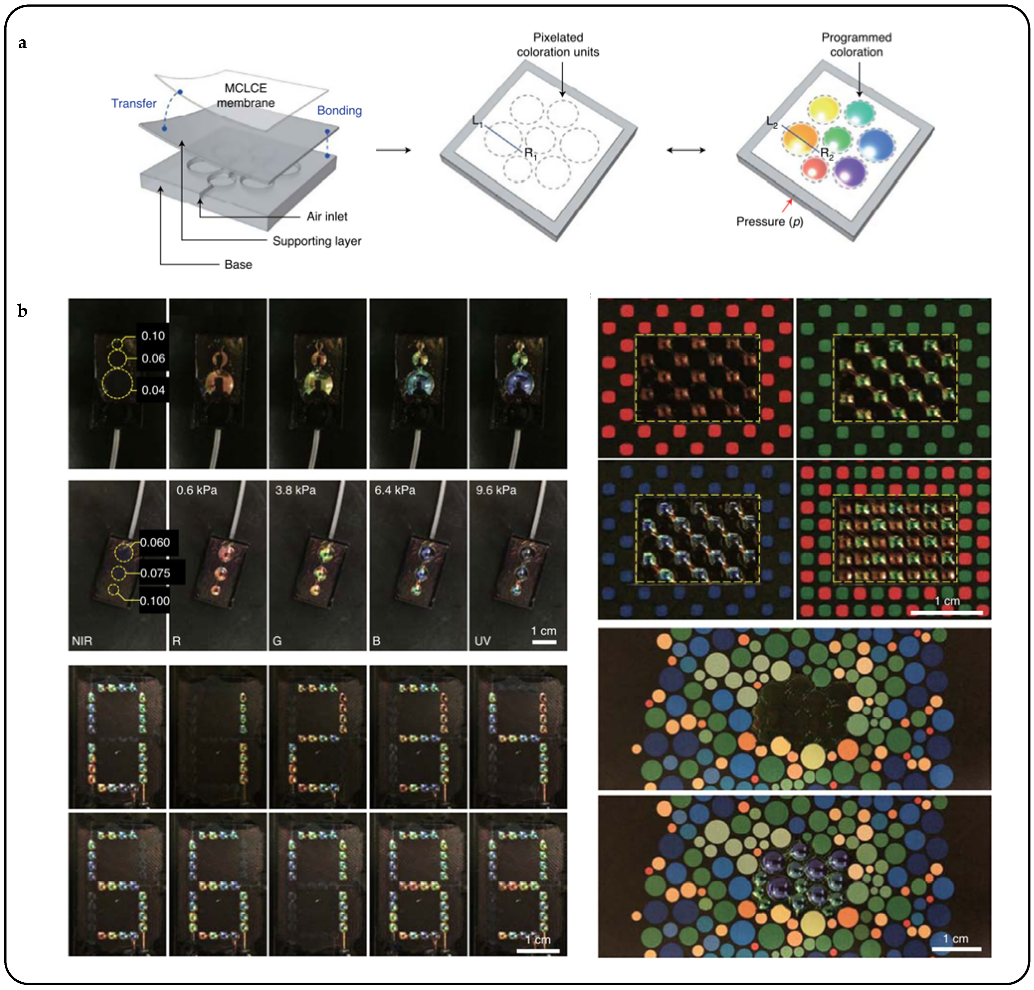 Micromachines 15 00808 g022