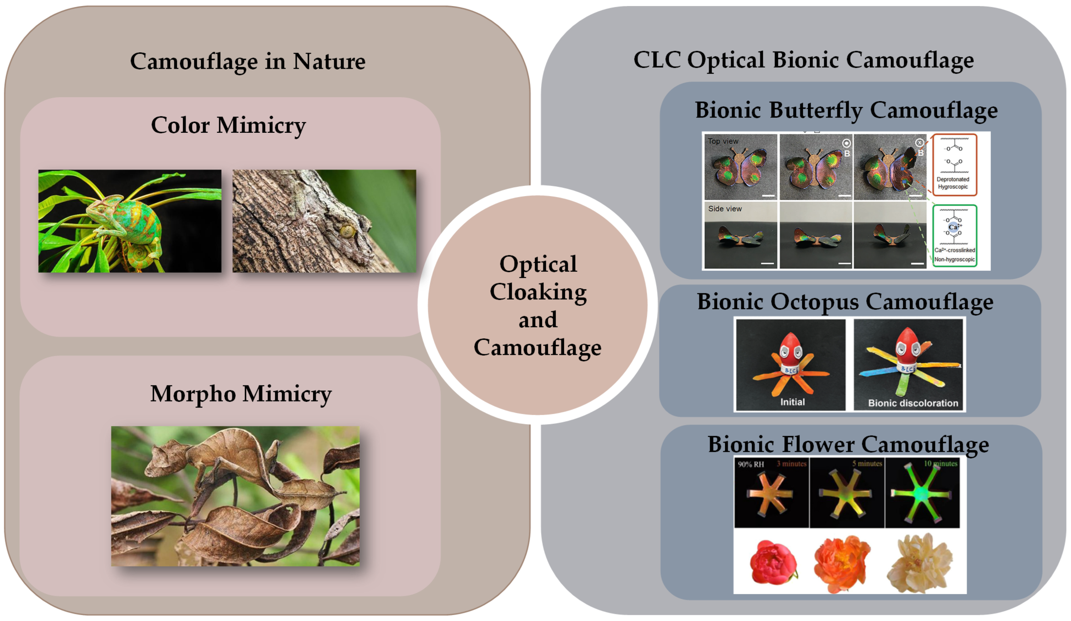 Micromachines 15 00808 g028