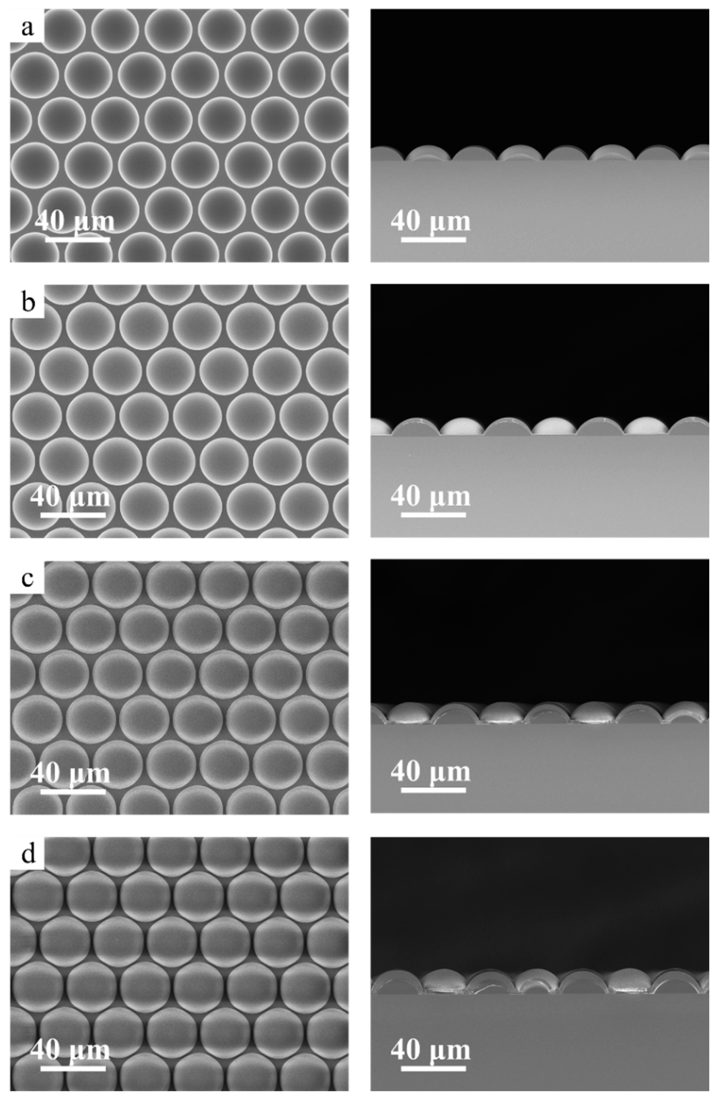 Micromachines 15 00816 g004