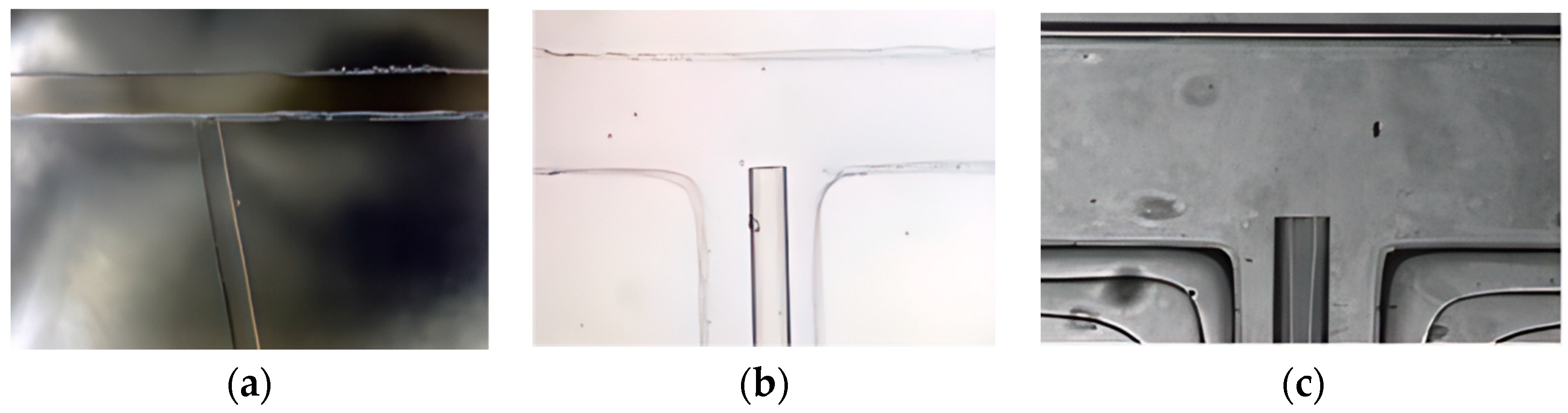 Micromachines 15 00818 g003