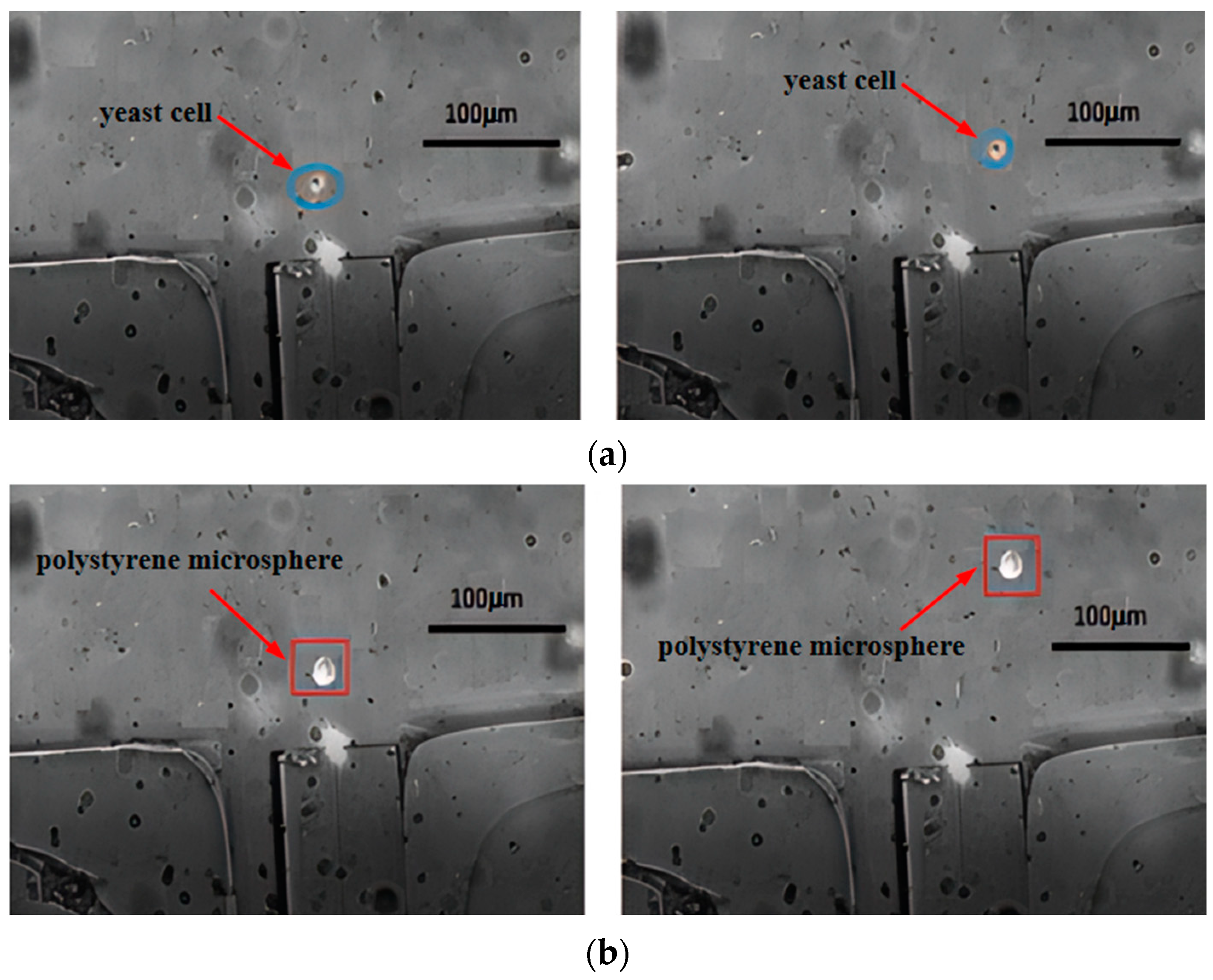 Micromachines 15 00818 g008