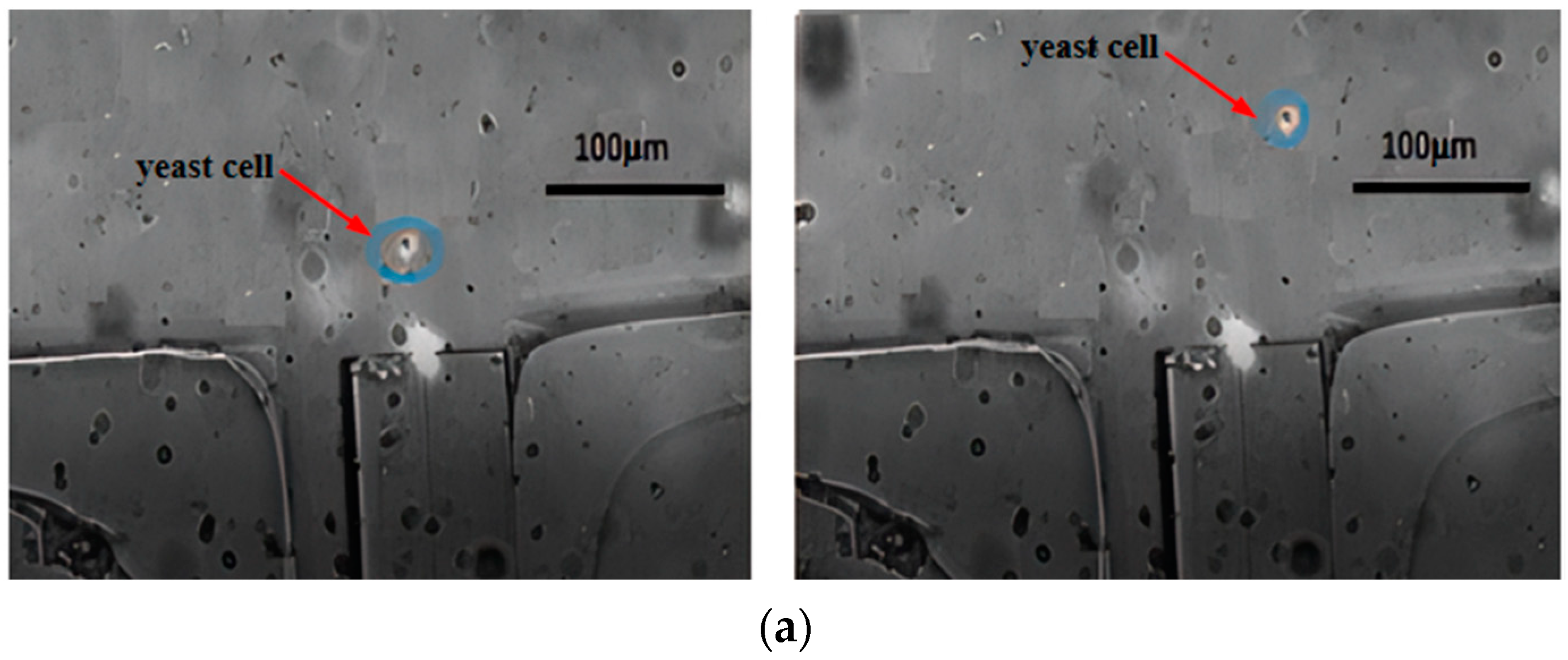 Micromachines 15 00818 g009a