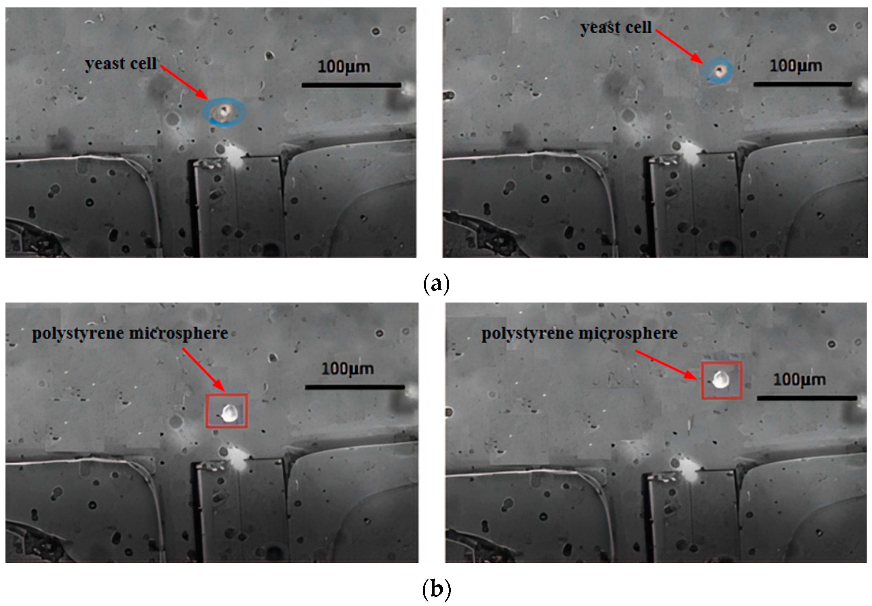 Micromachines 15 00818 g010