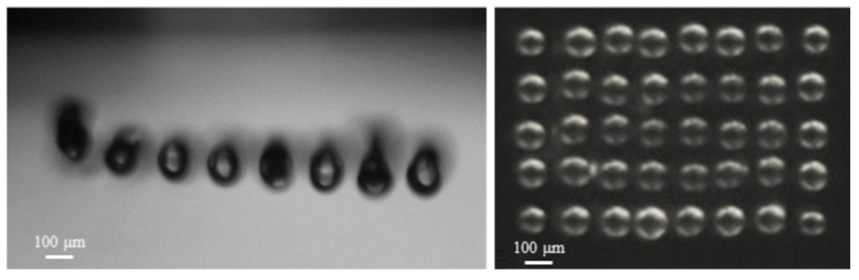 Highly Parallel Droplet Dispensing Approach to Provide Homogeneous and ...