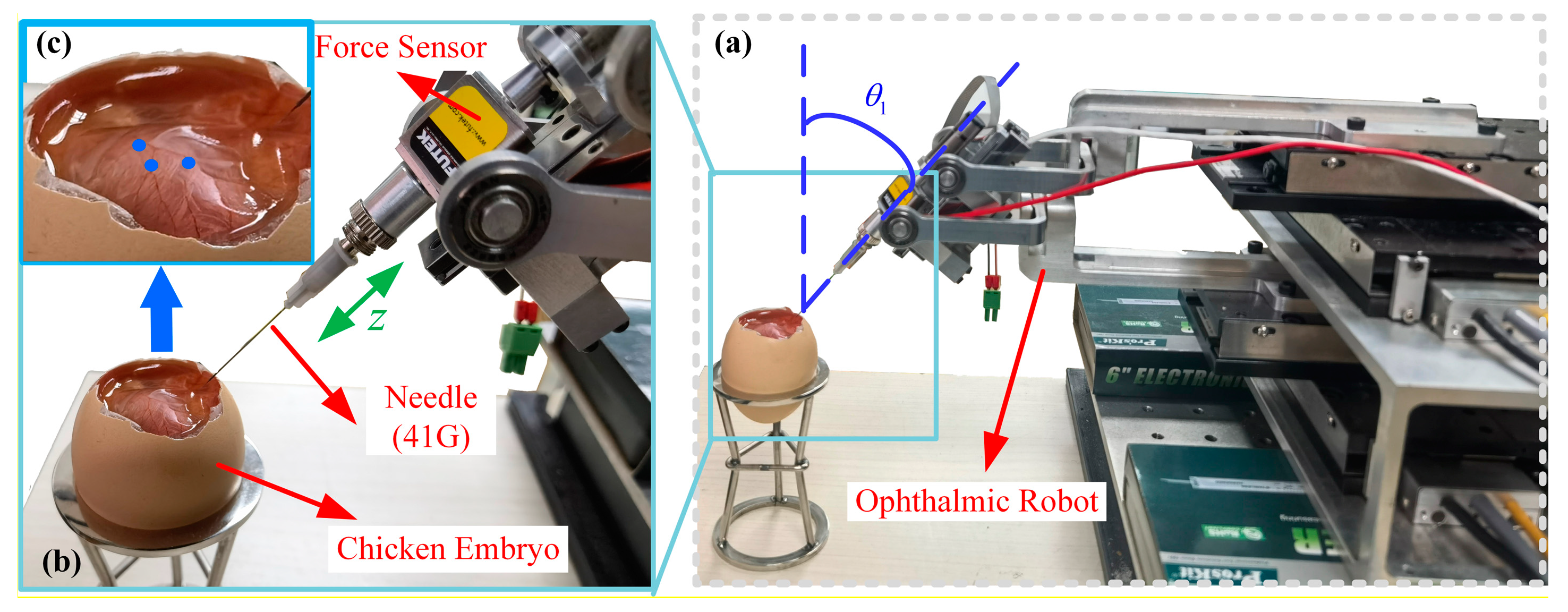 Micromachines 15 00833 g006