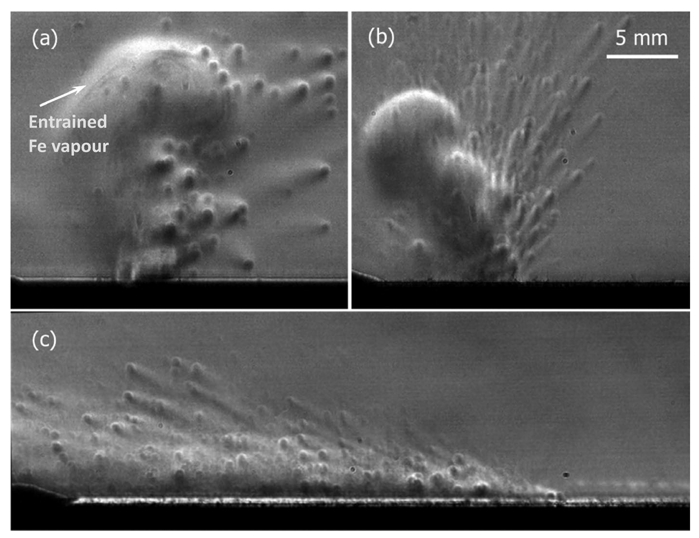 Micromachines 15 00846 g010