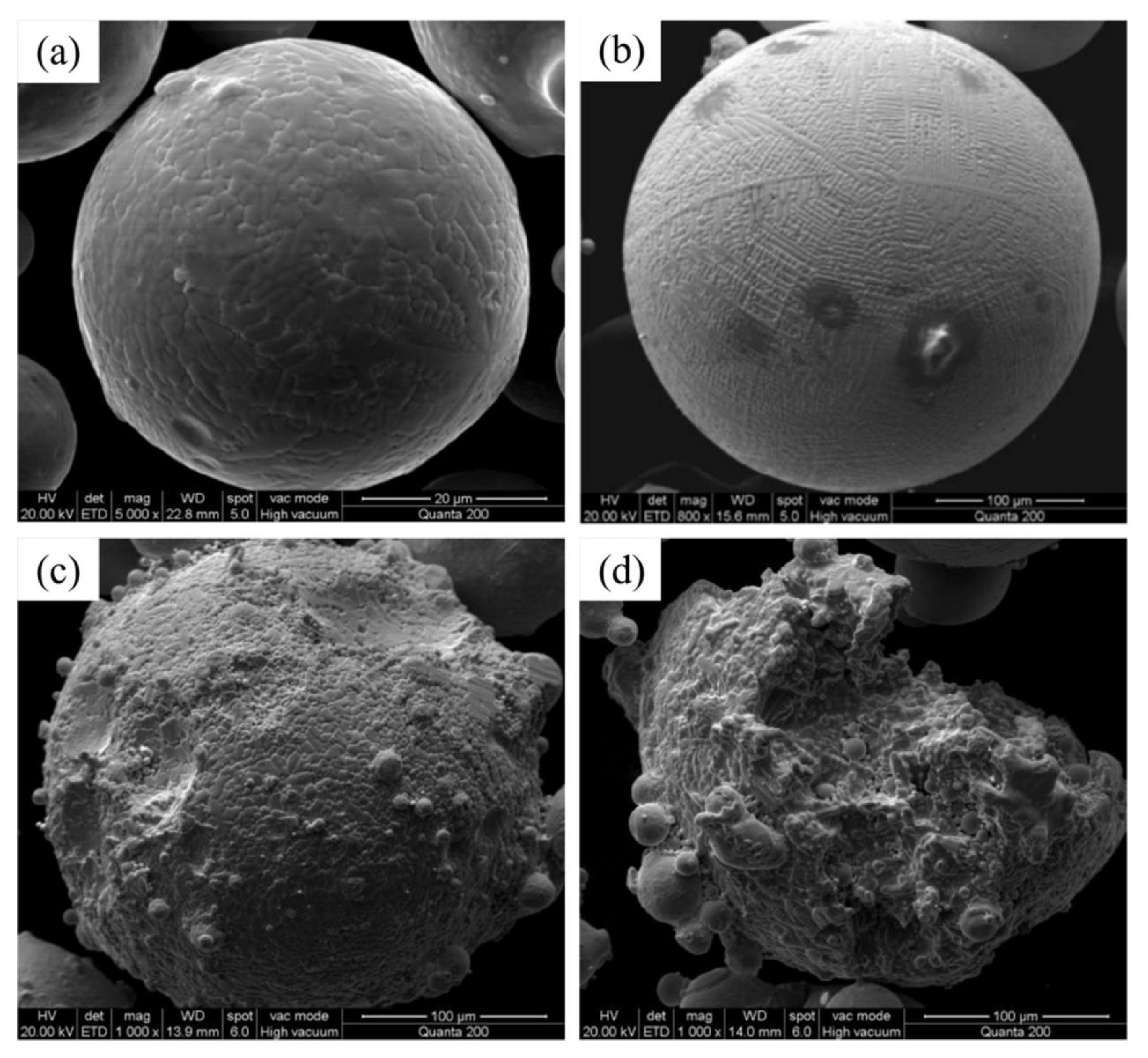 Micromachines 15 00846 g012