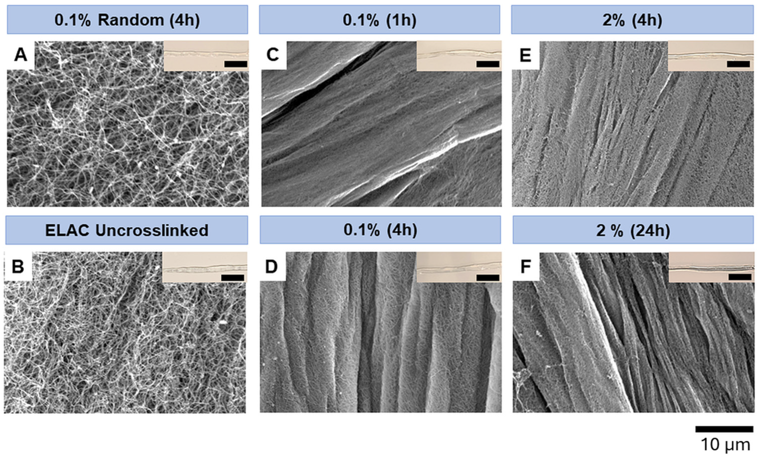 Micromachines 15 00851 g004 Micromachines 15 00851 g004