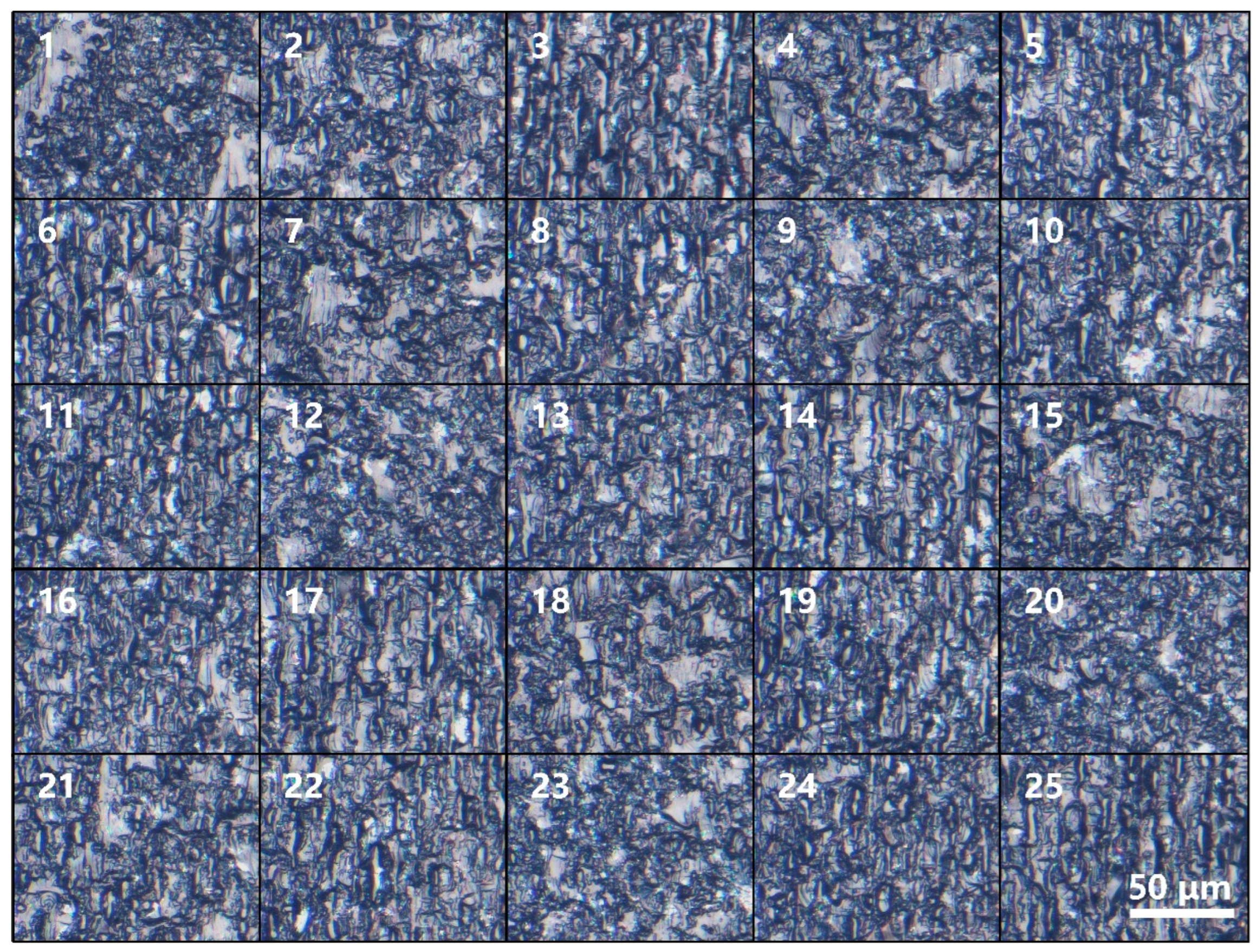 Micromachines 15 00854 g002