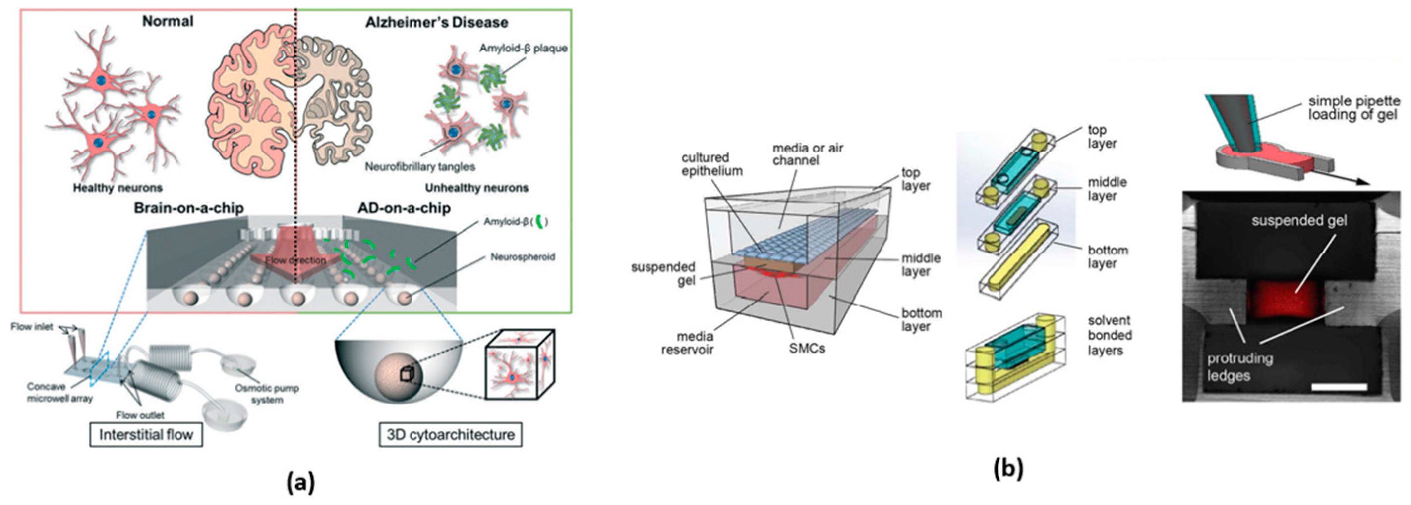 Micromachines 15 00873 g002 Micromachines 15 00873 g002