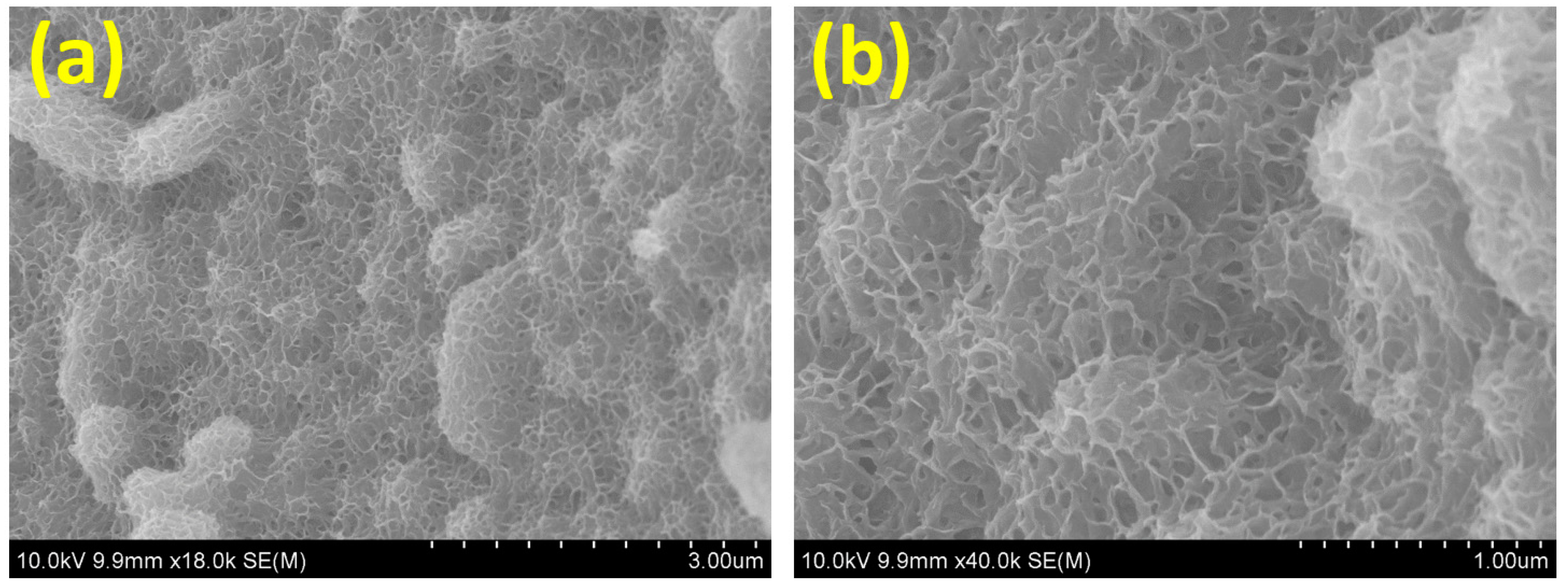 Micromachines 15 00876 g001