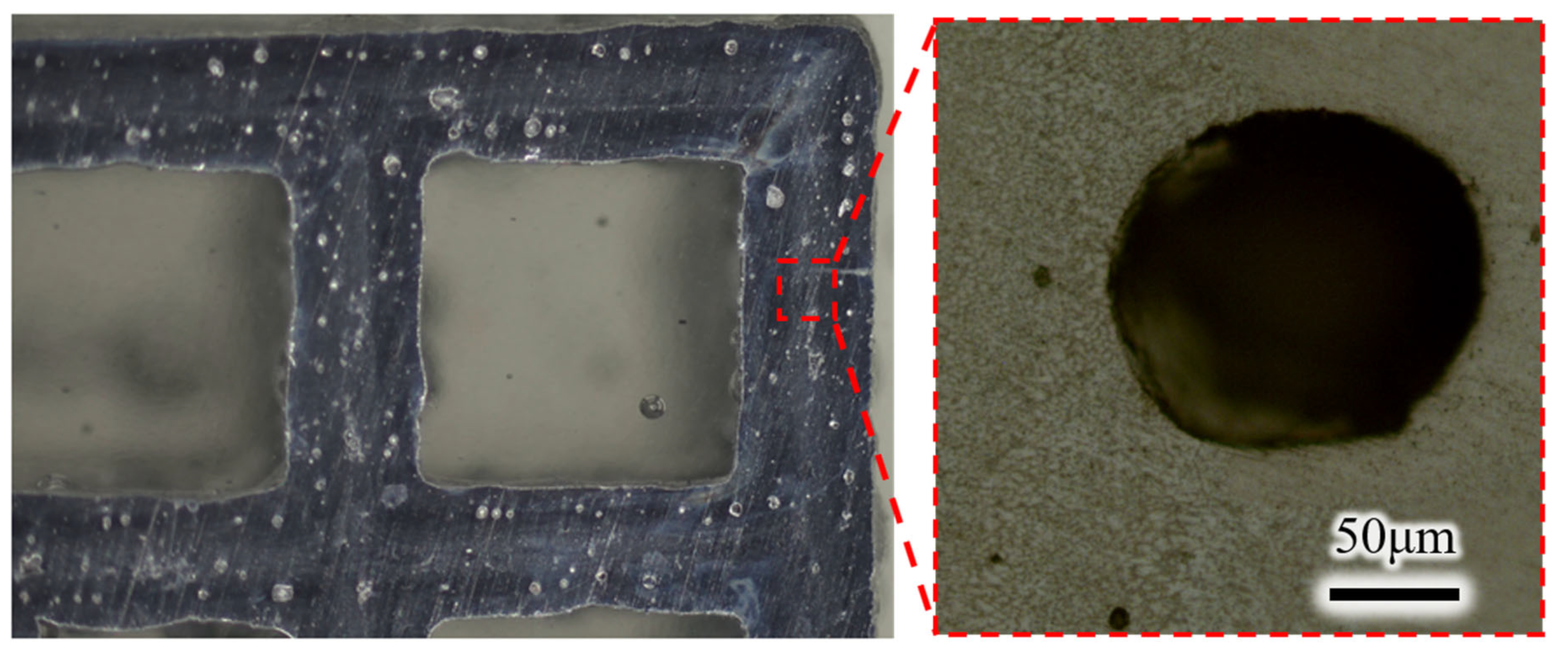 Micromachines 15 00888 g013