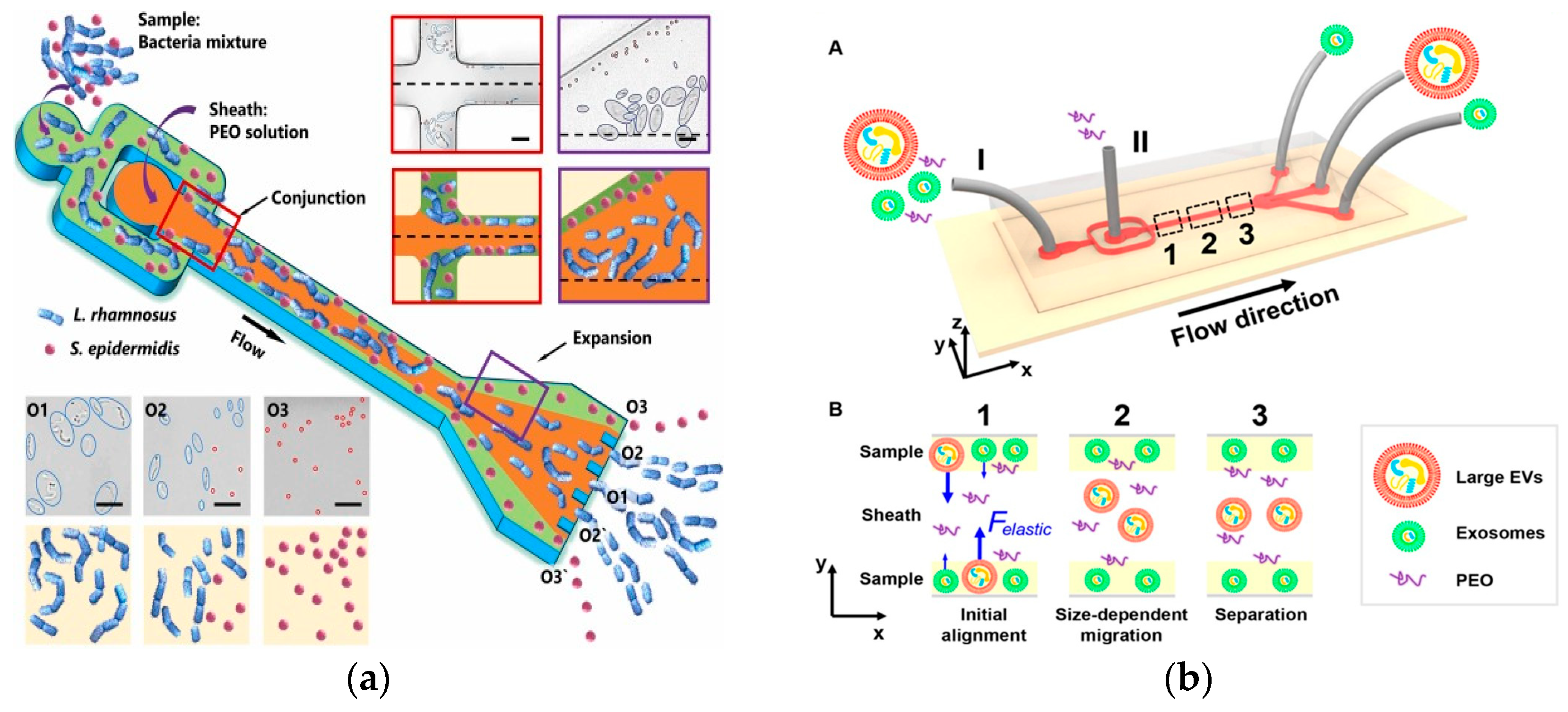 Micromachines 15 00893 g005