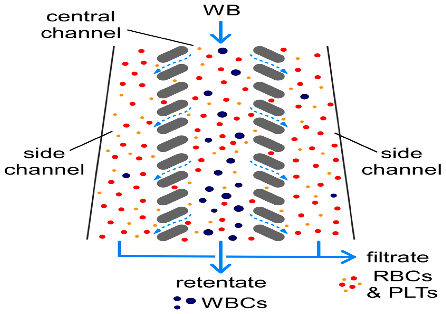 Micromachines 15 00893 g006