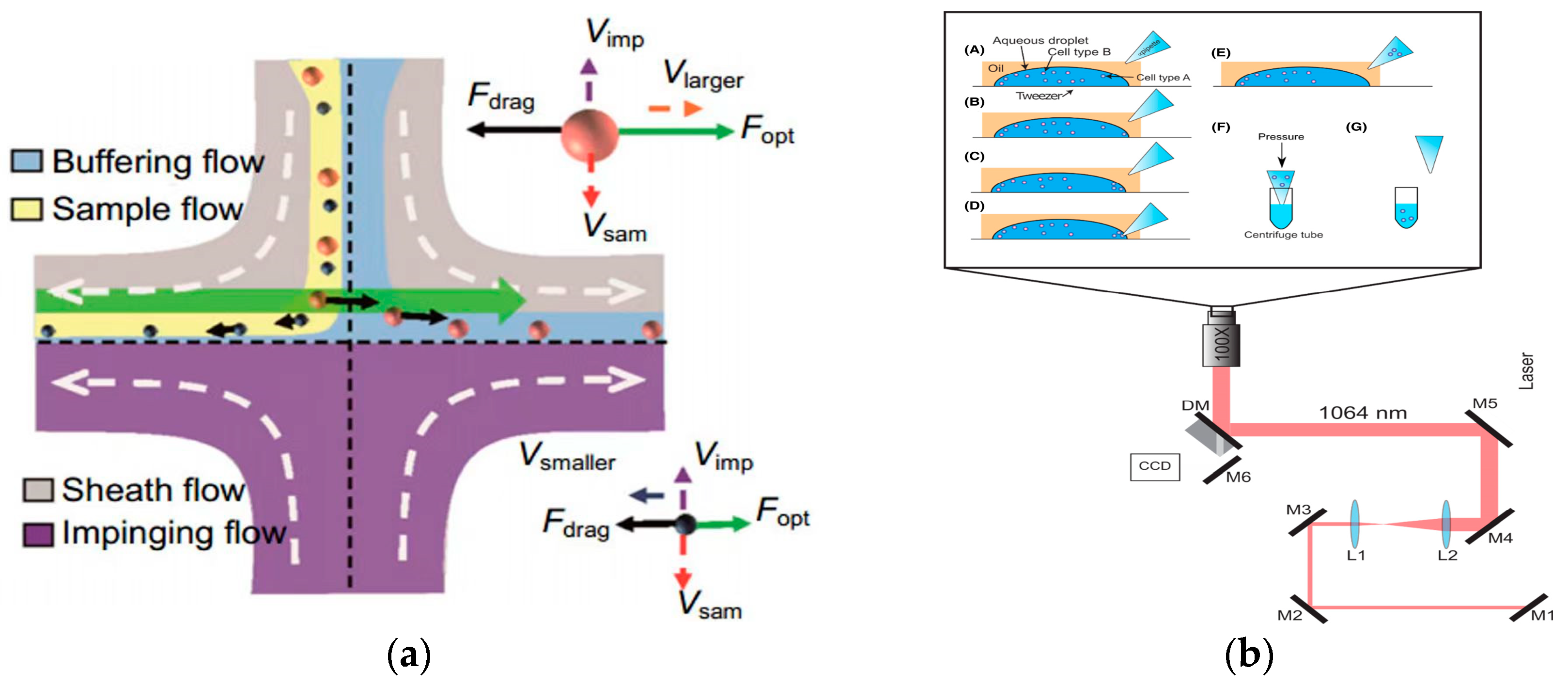 Micromachines 15 00893 g010