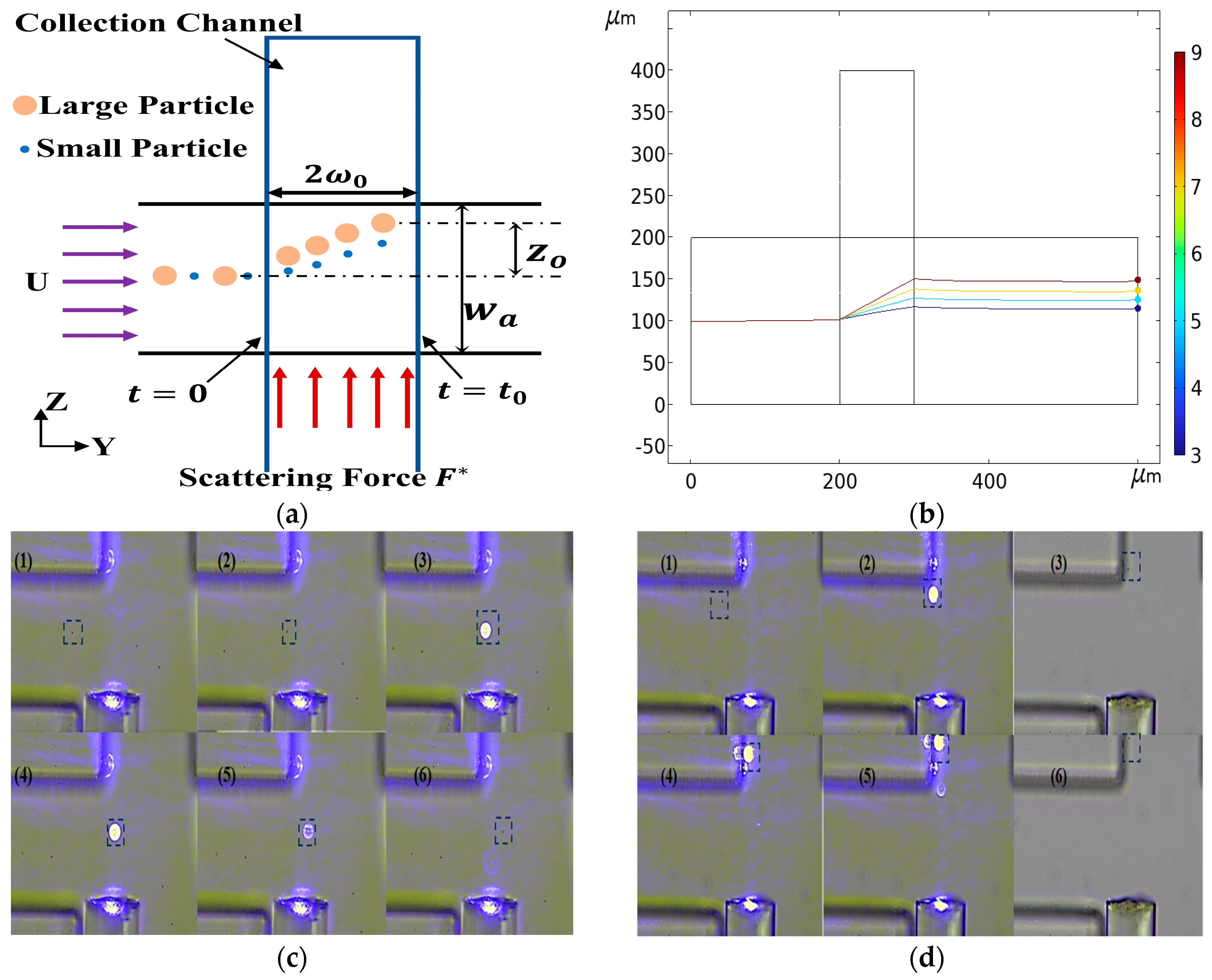 Micromachines 15 00893 g013
