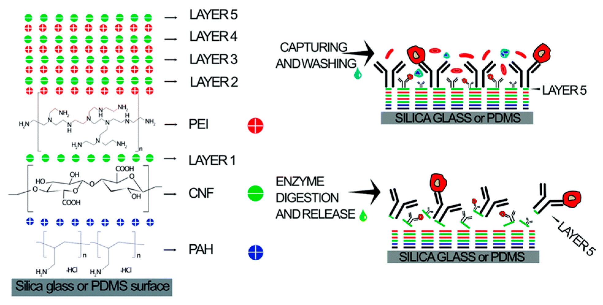 Micromachines 15 00893 g015
