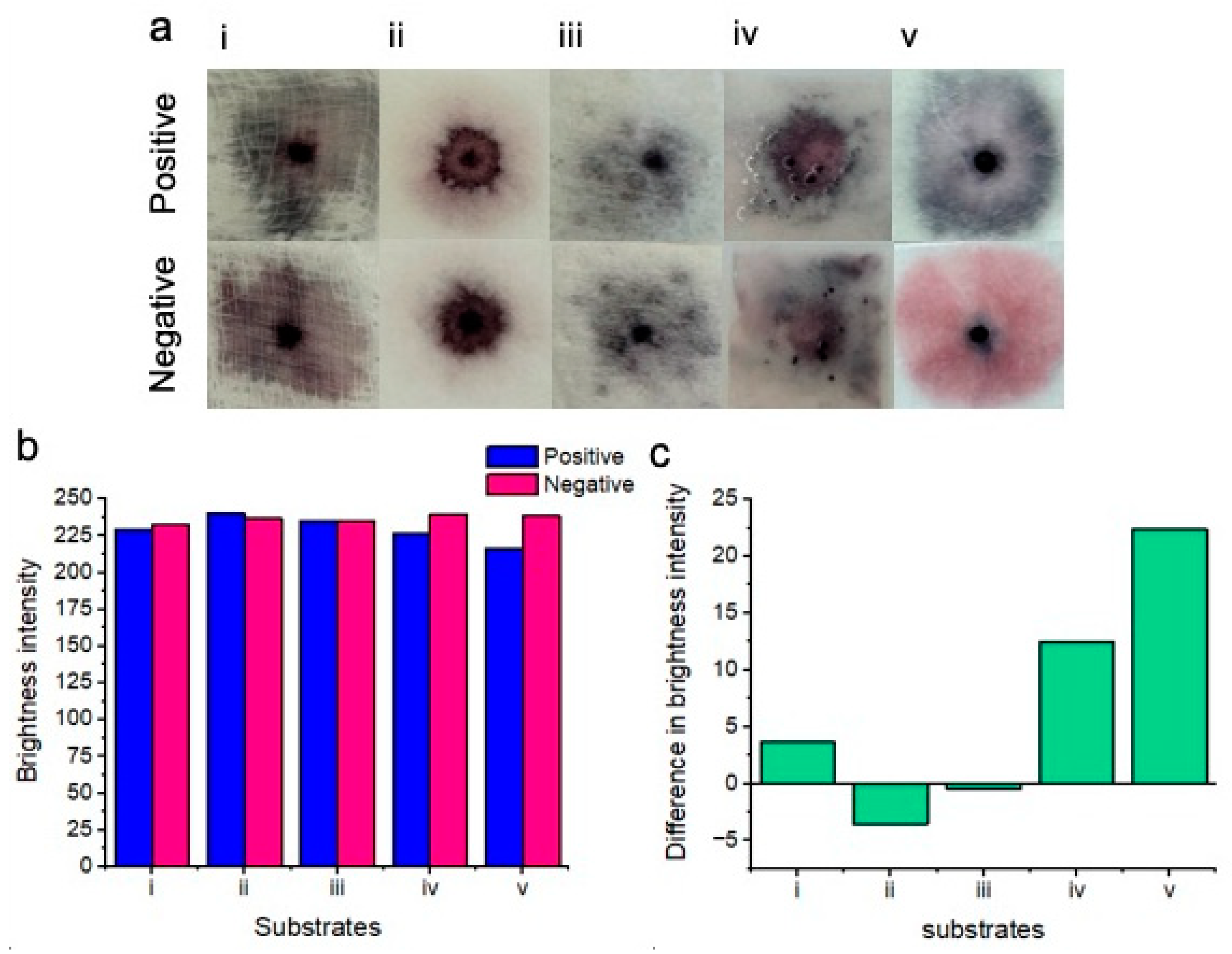 Micromachines 15 00899 g004