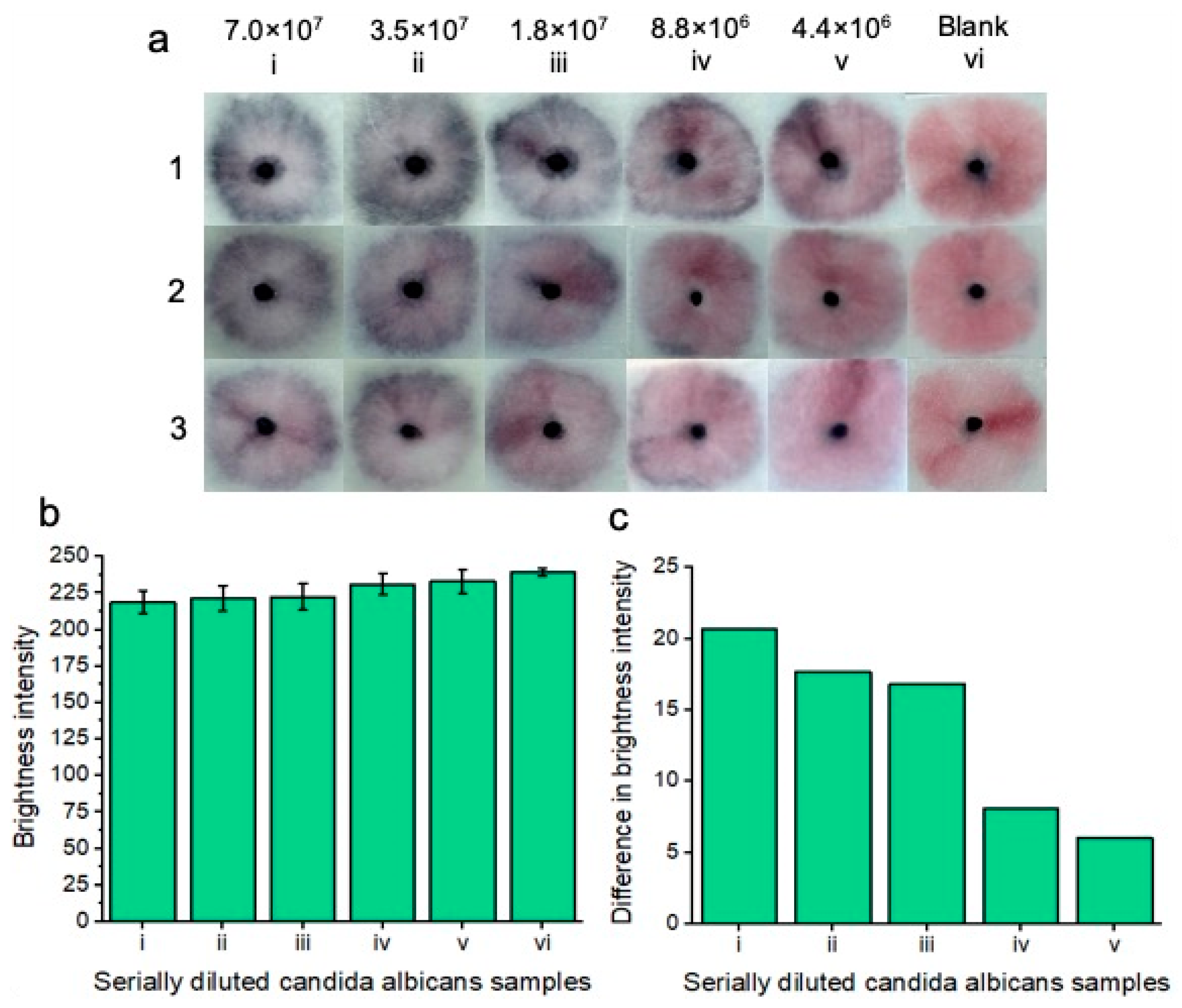 Micromachines 15 00899 g005
