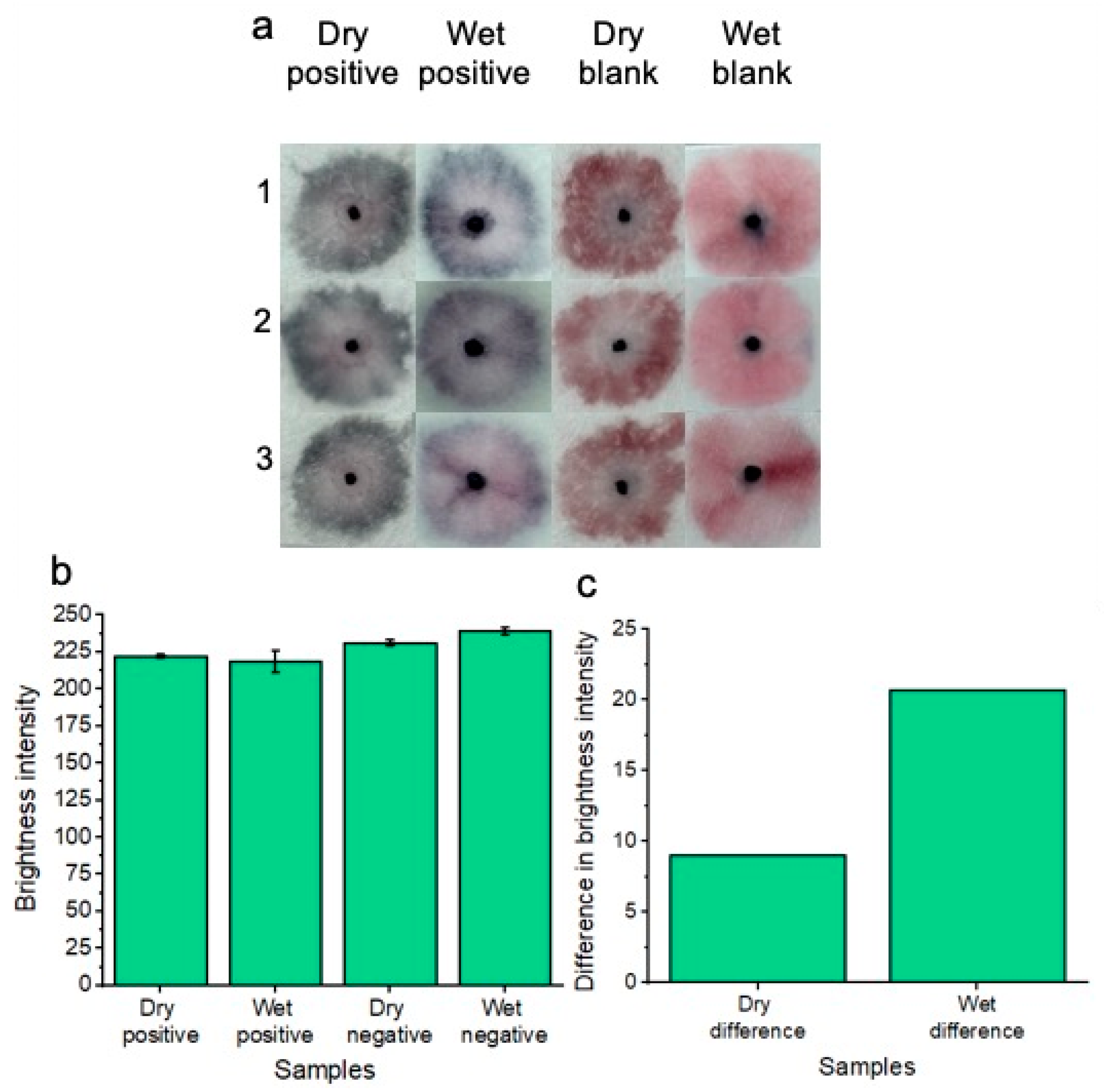 Micromachines 15 00899 g007