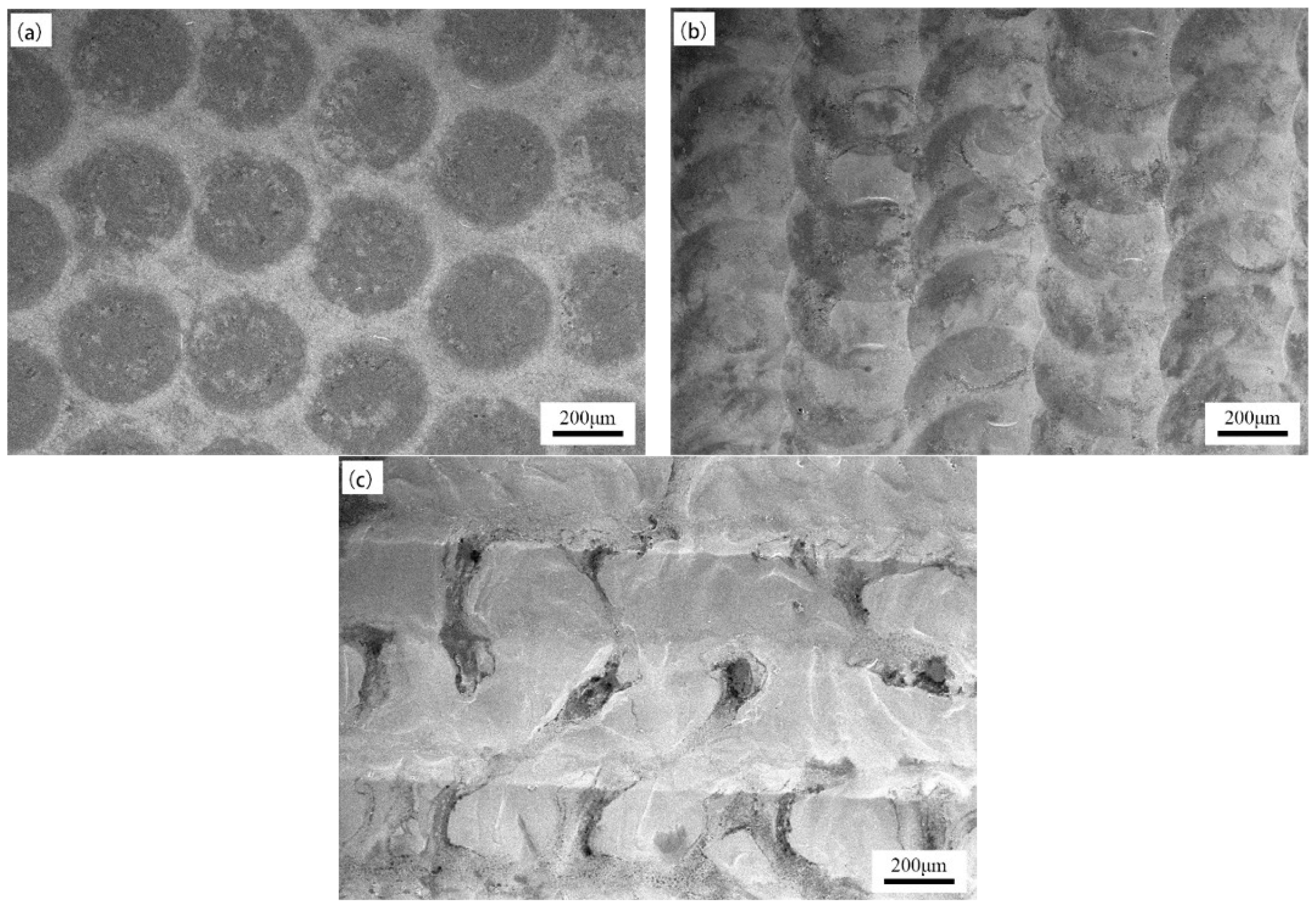 Micromachines 15 00927 g002