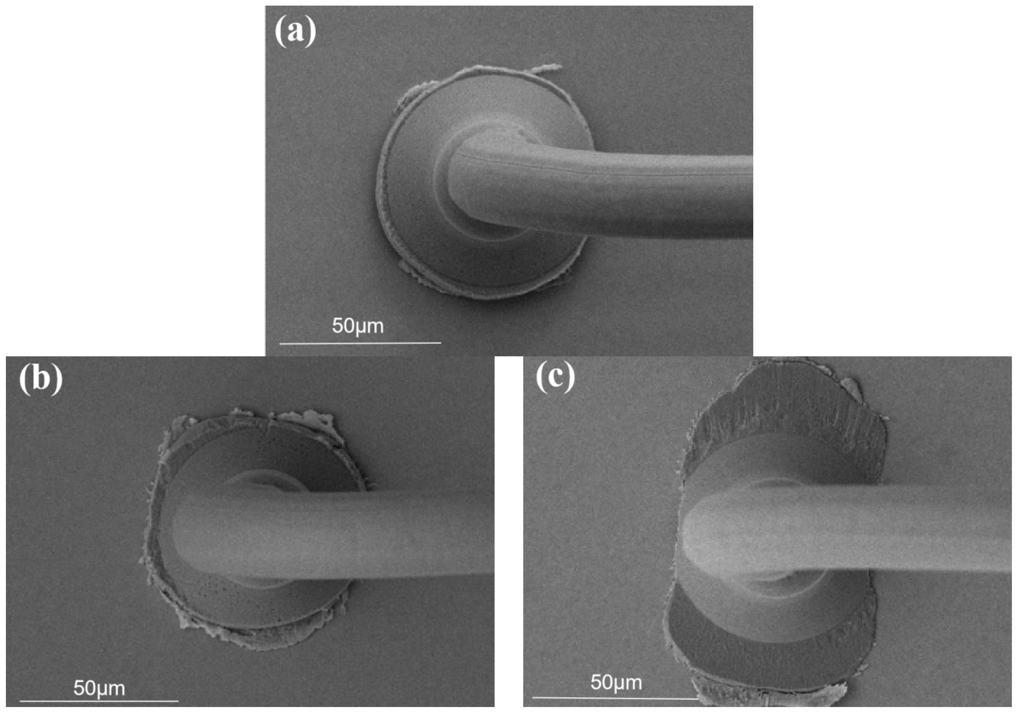 Micromachines 15 00931 g004a