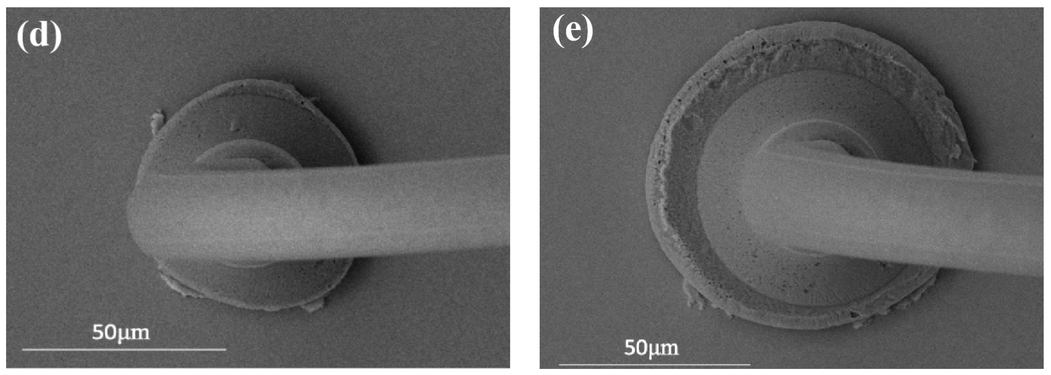 Micromachines 15 00931 g004b