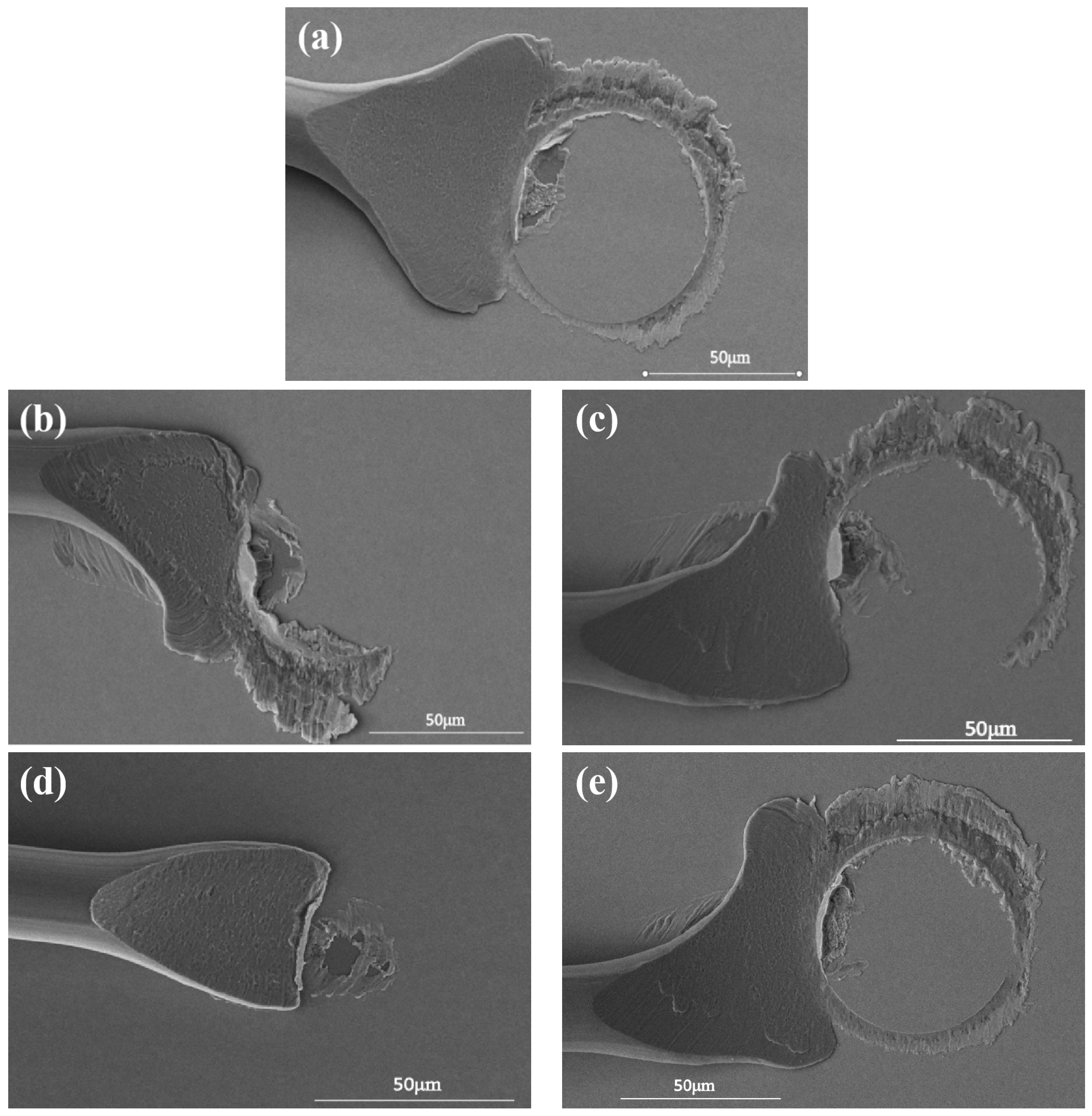 Micromachines 15 00931 g005