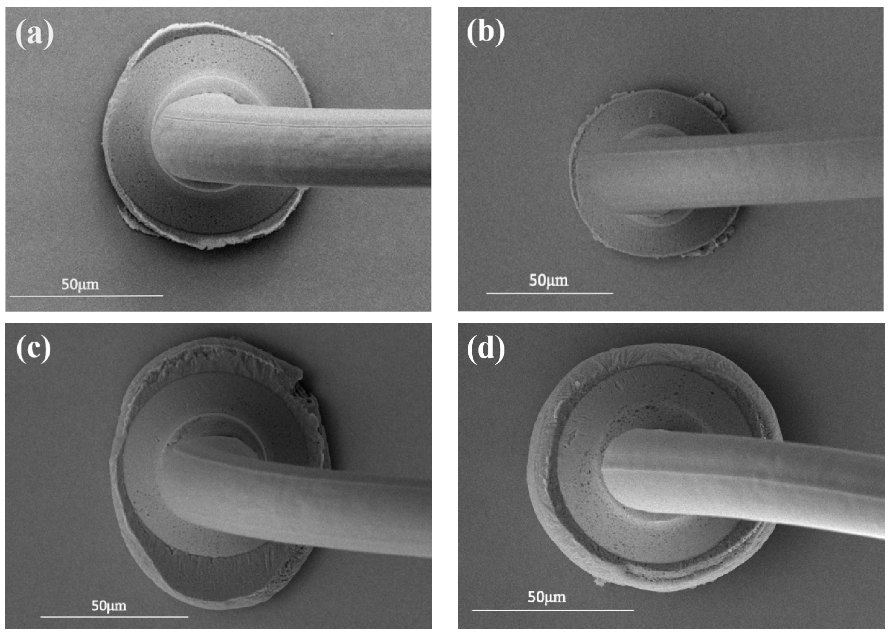 Micromachines 15 00931 g007
