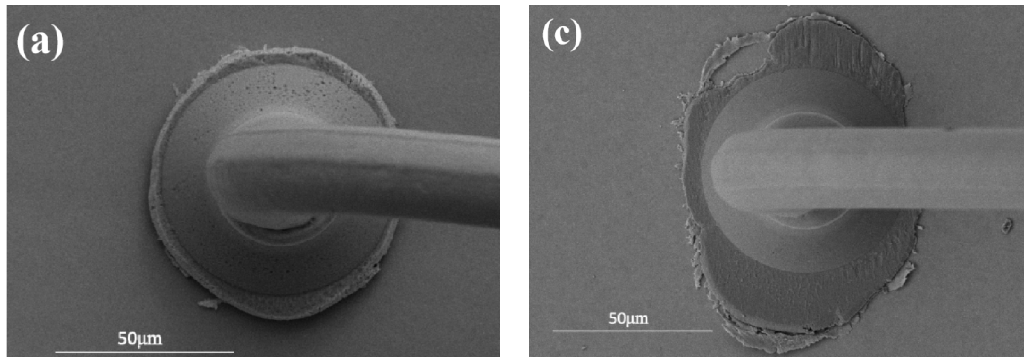 Micromachines 15 00931 g010a