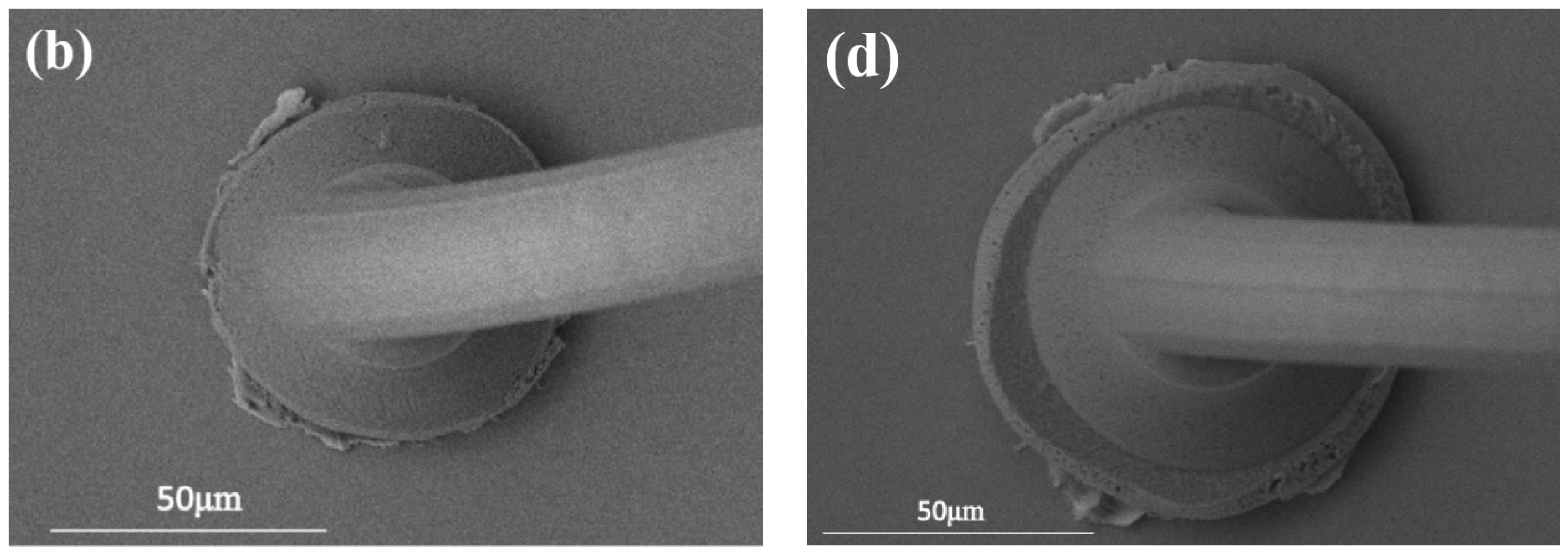 Micromachines 15 00931 g010b