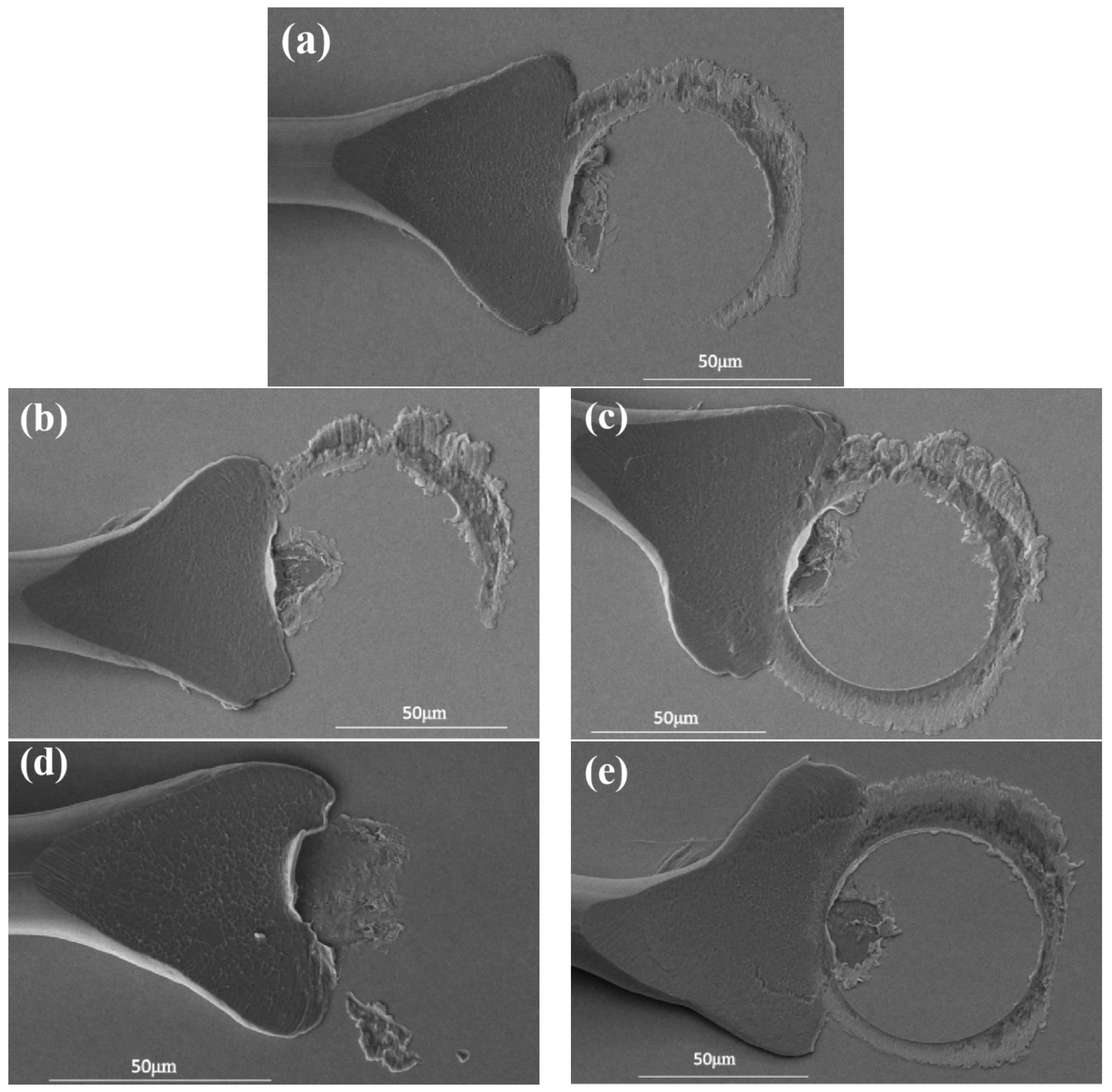 Micromachines 15 00931 g011