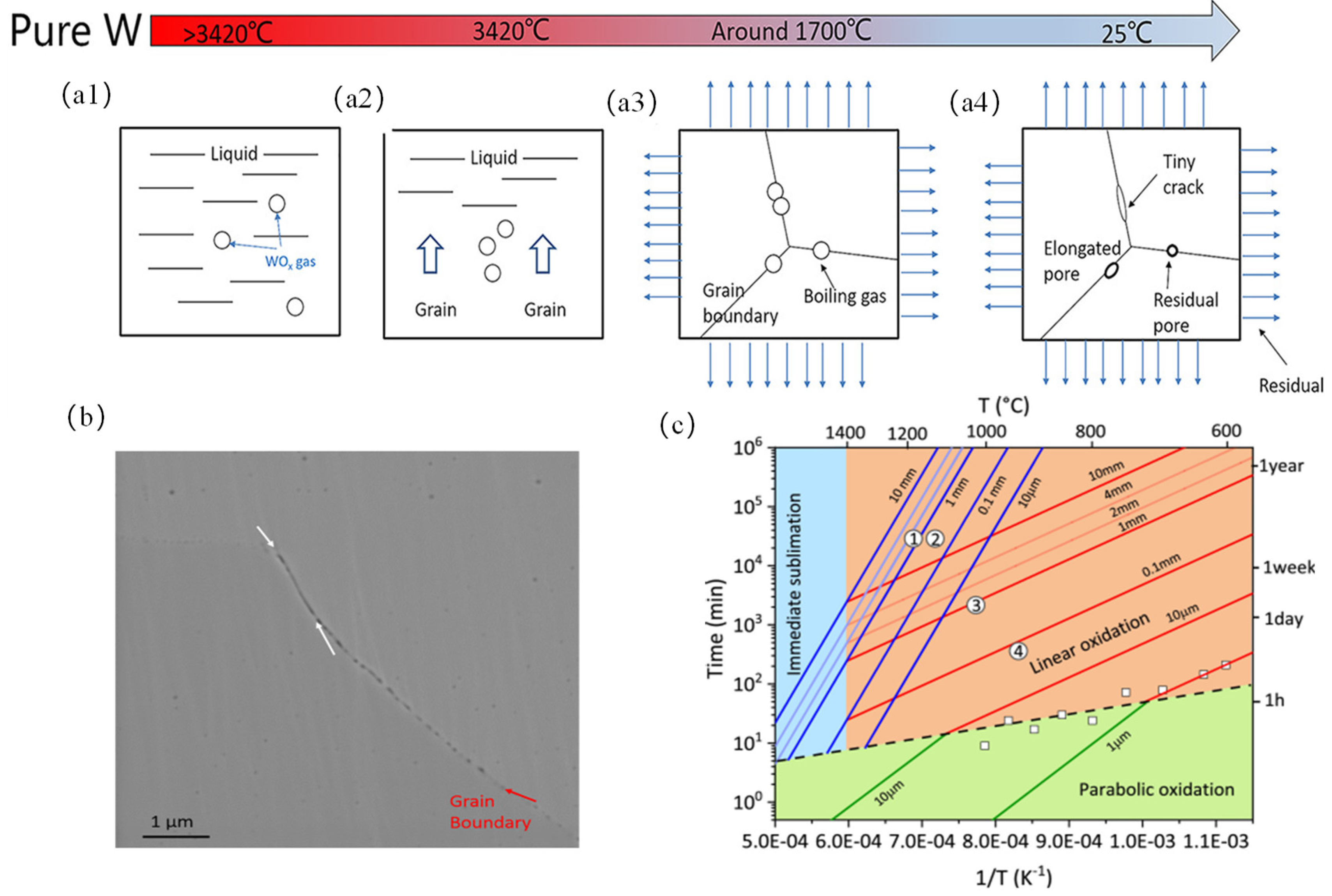 Micromachines 15 00966 g006