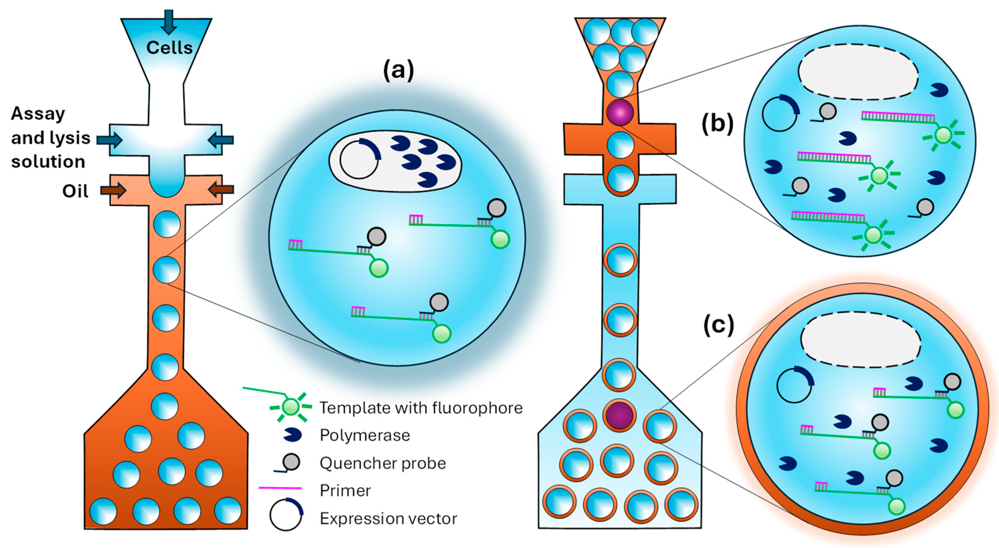 Micromachines 15 00971 g012 Micromachines 15 00971 g012