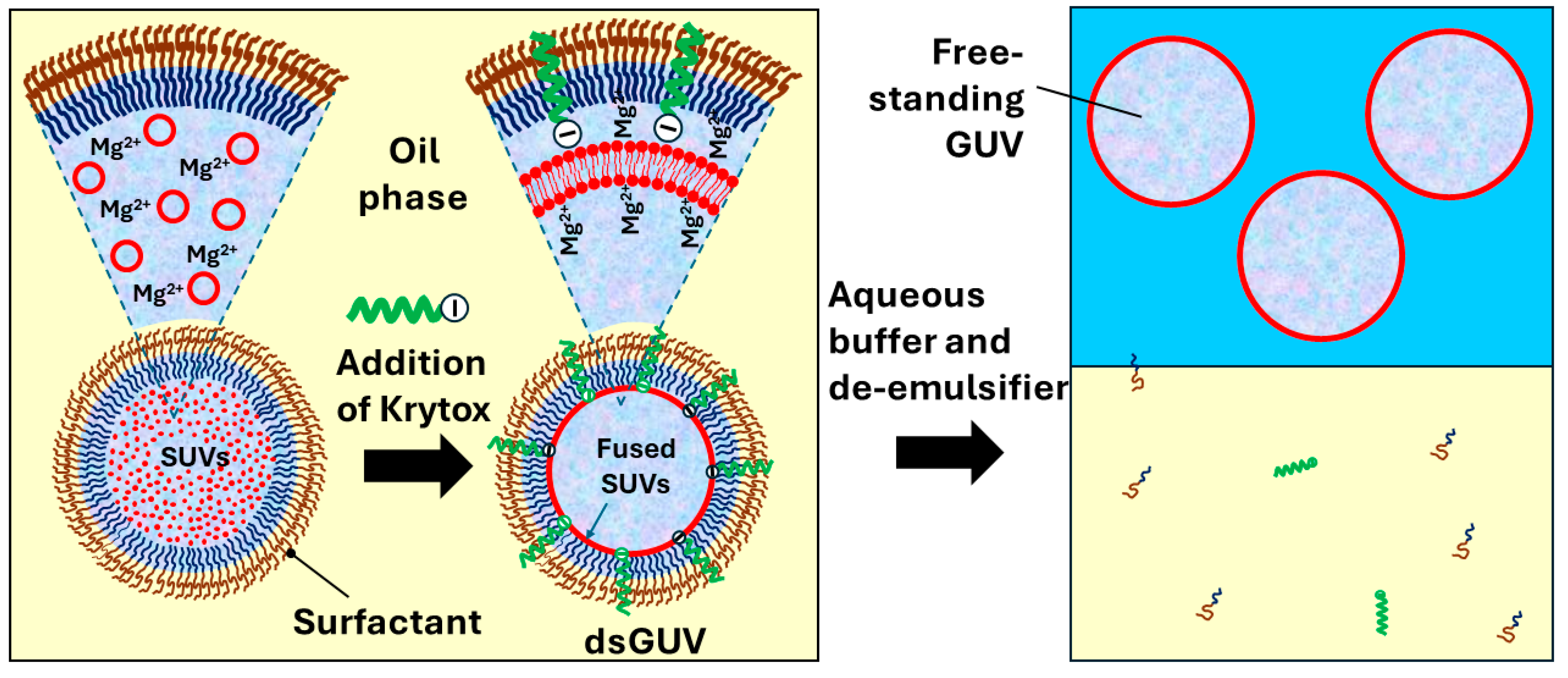 Micromachines 15 00971 g015 Micromachines 15 00971 g015
