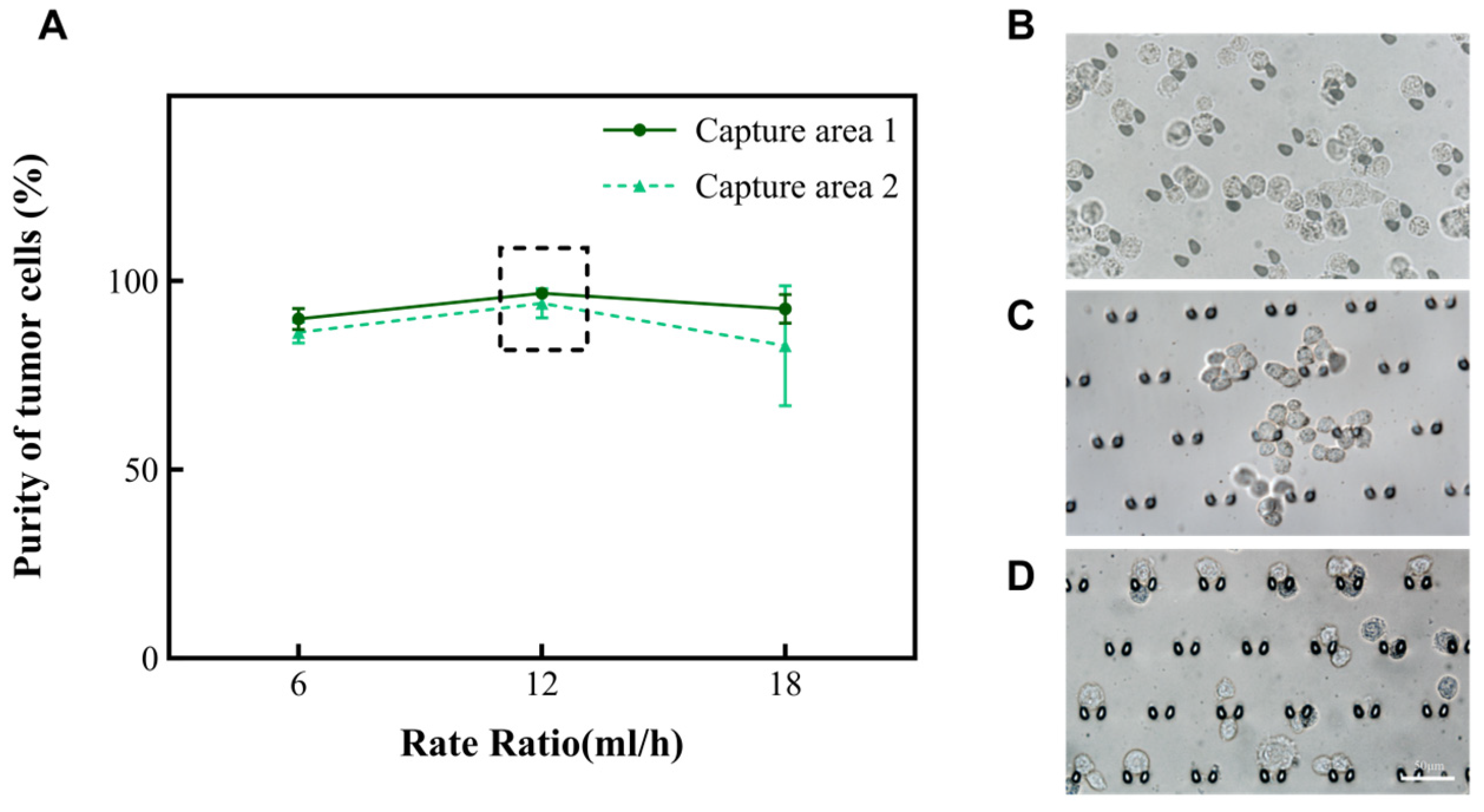 Micromachines 15 00981 g003