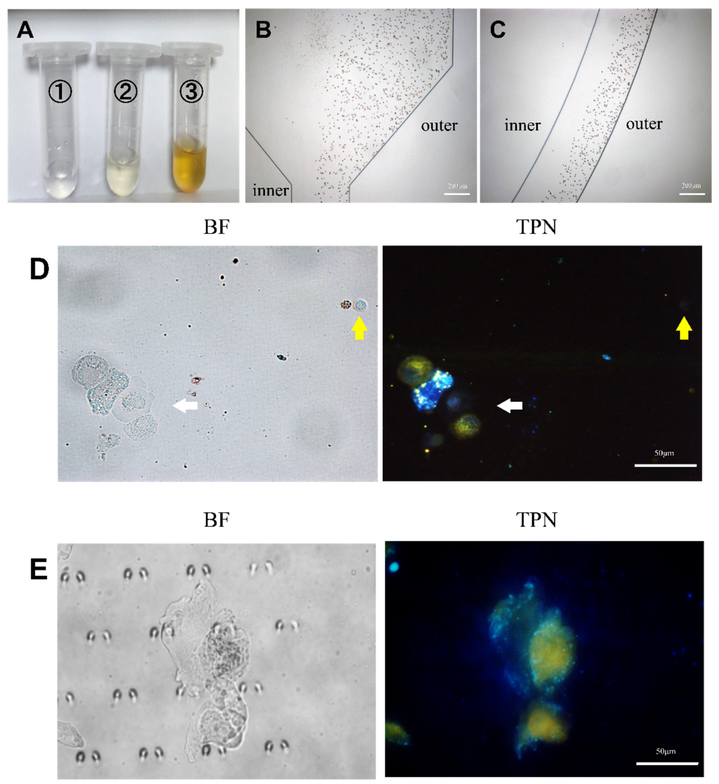 Micromachines 15 00981 g007