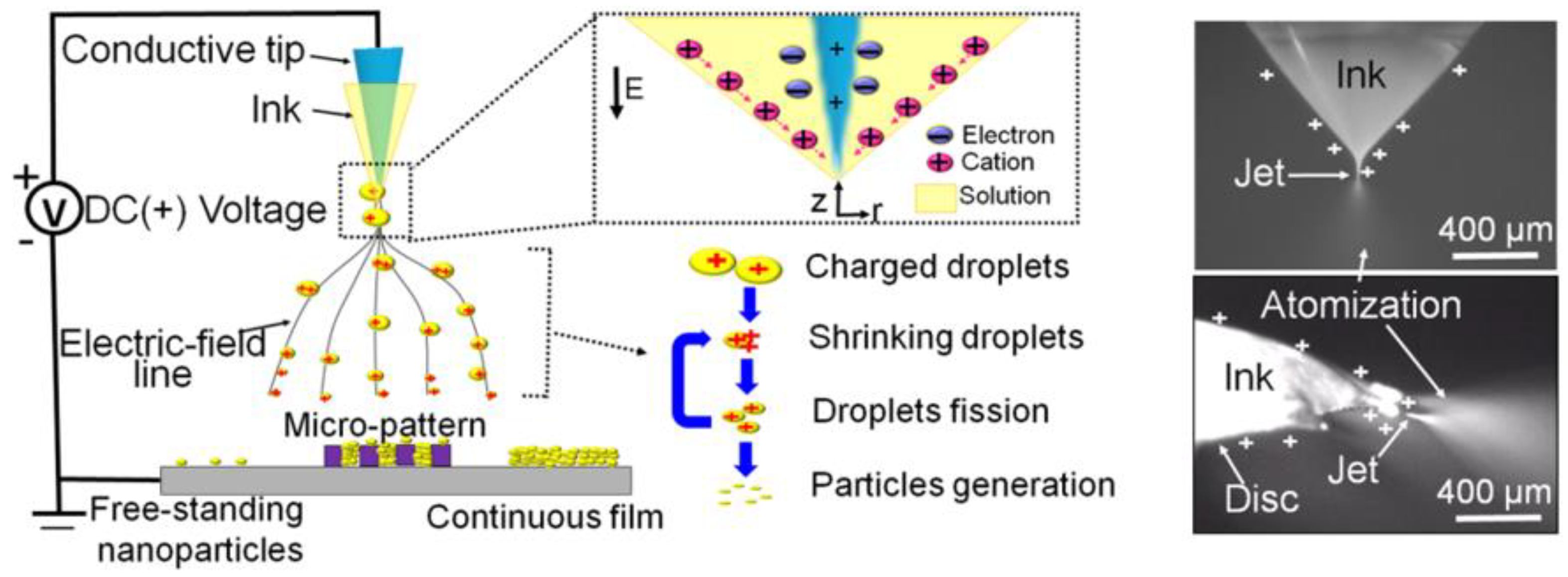 Micromachines 15 00982 g020