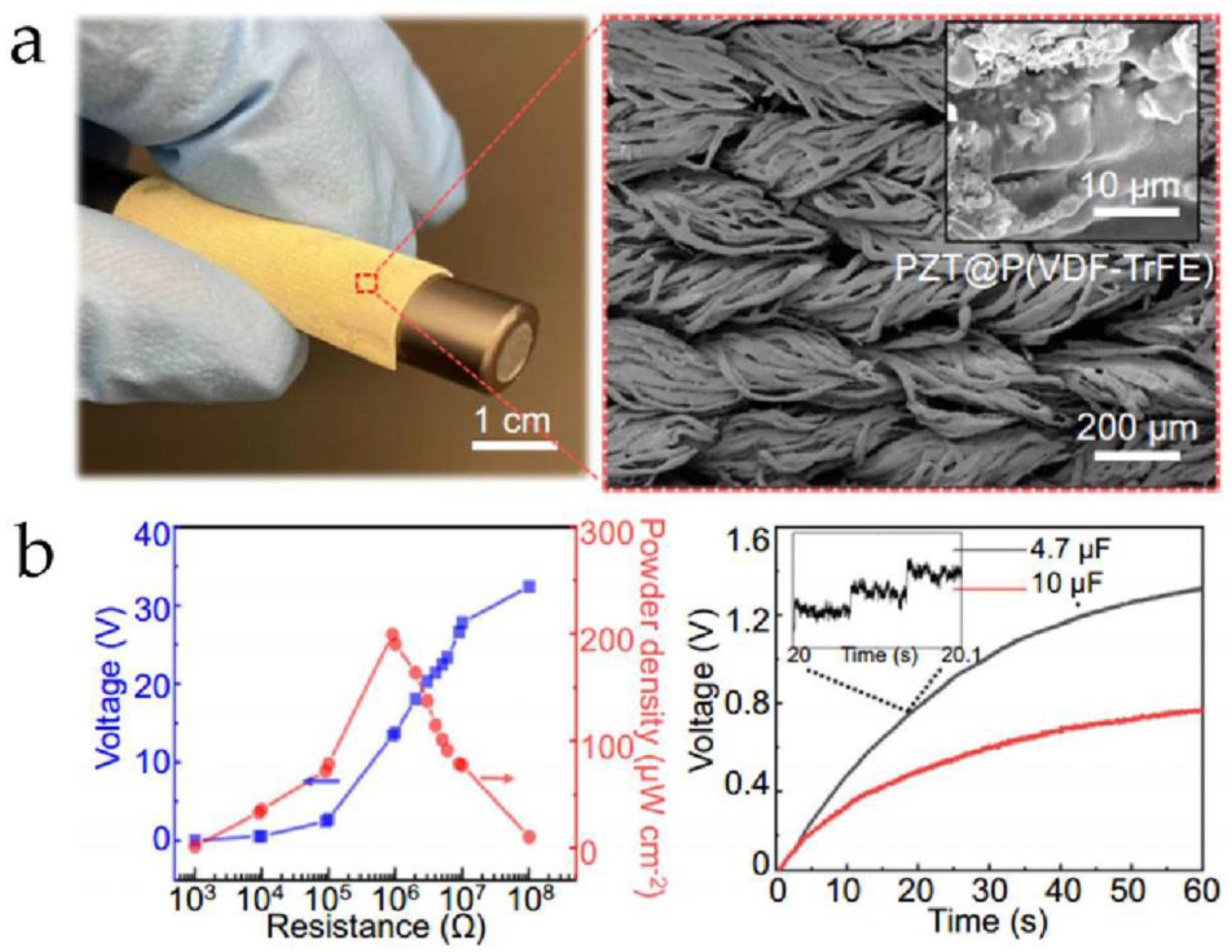 Micromachines 15 00982 g021
